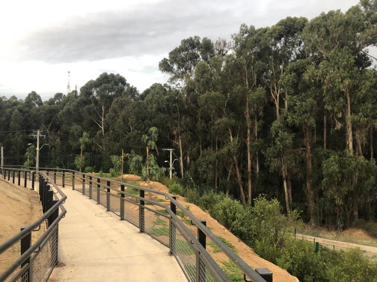 Barrio FORESTA
