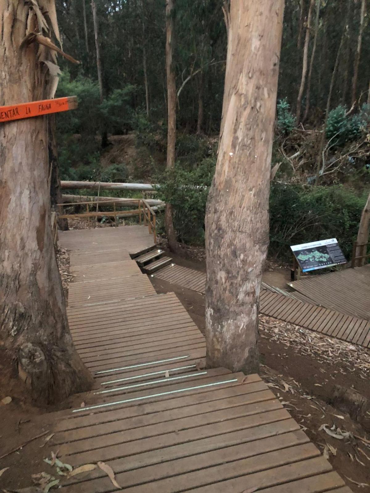 Barrio FORESTA