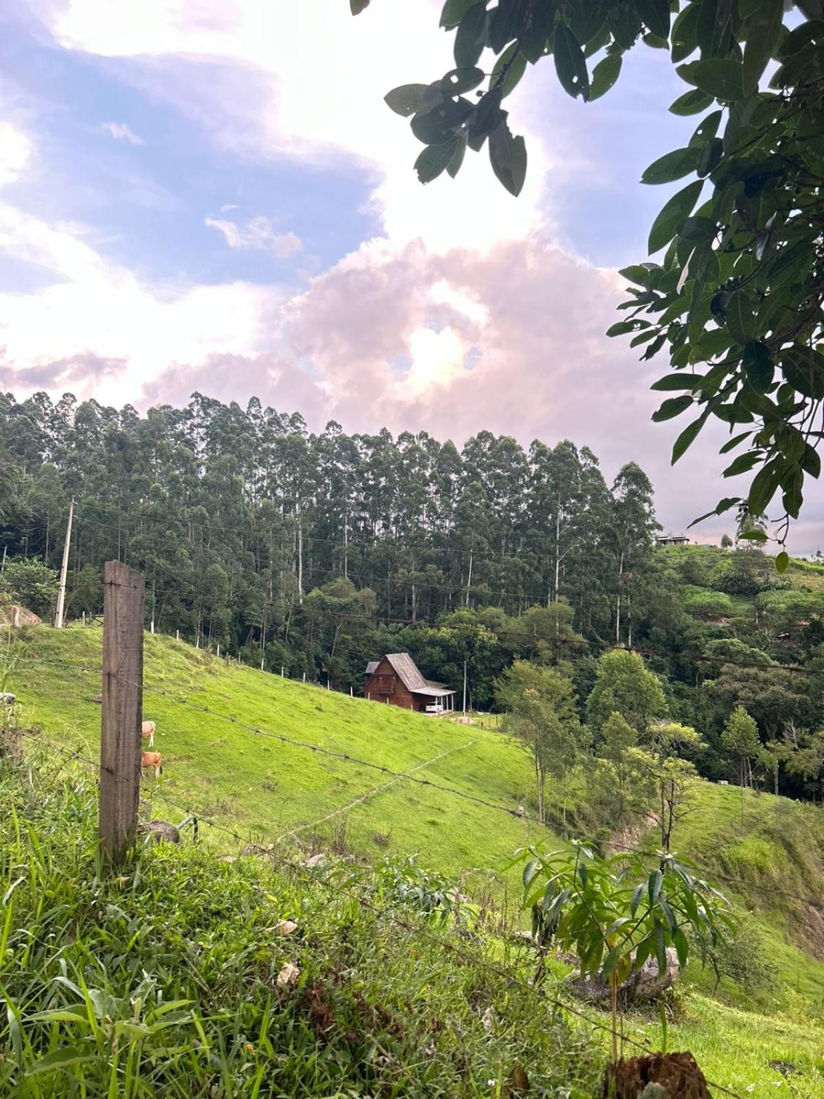 Chalé do Beleza - Serra do Corvo