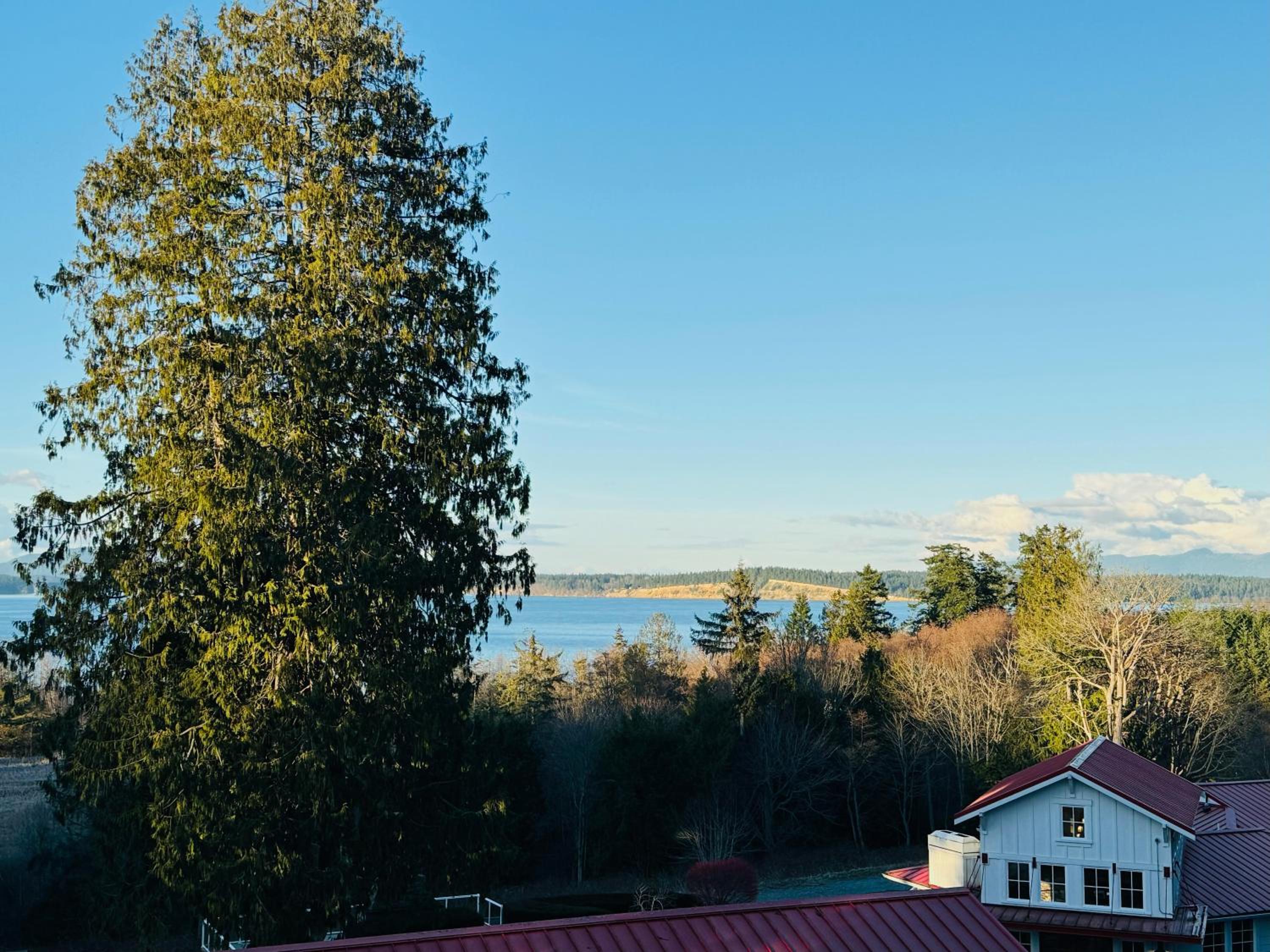 Anacortes Ship Harbor Inn view 2