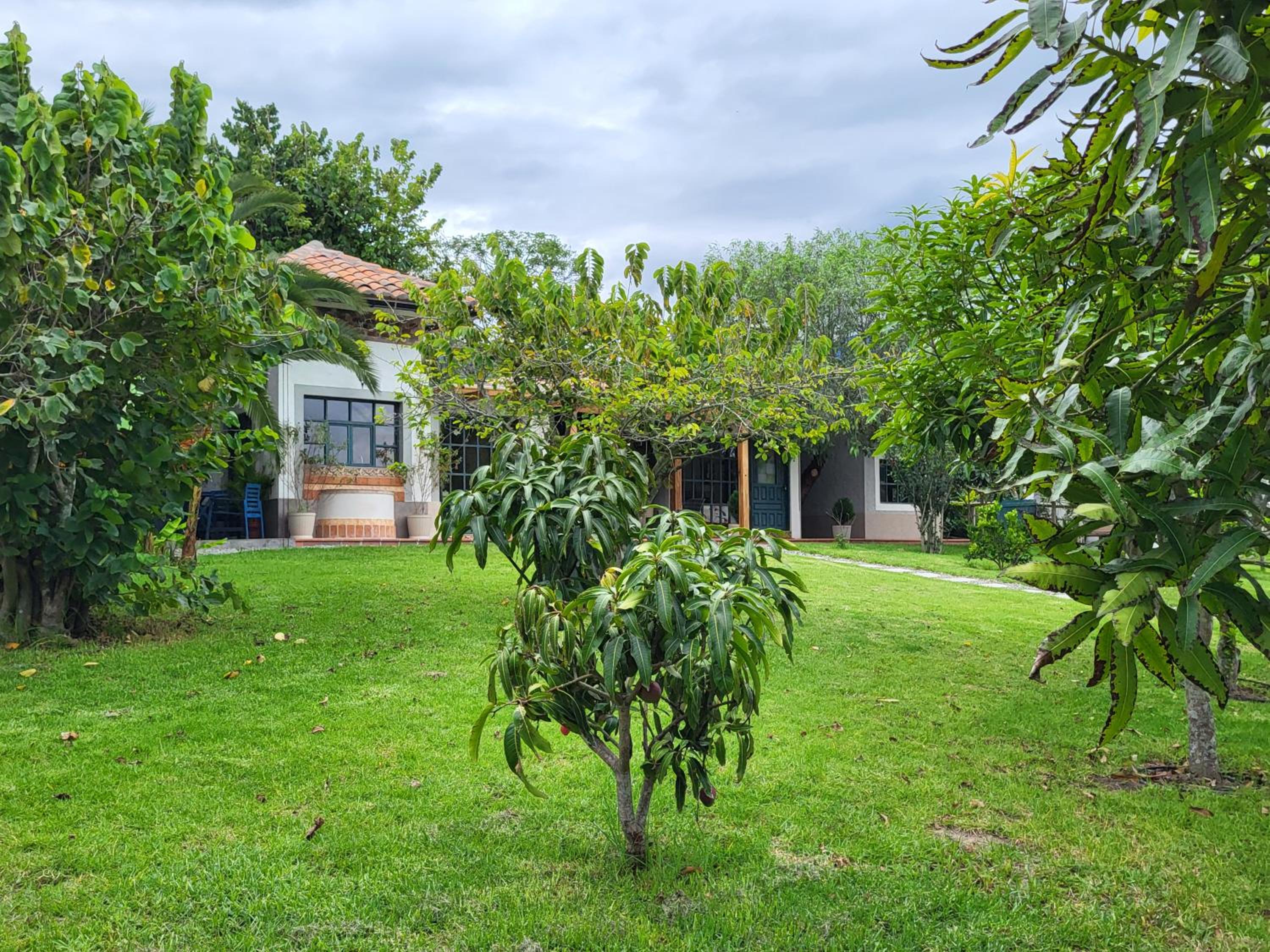 Quinta Paolita