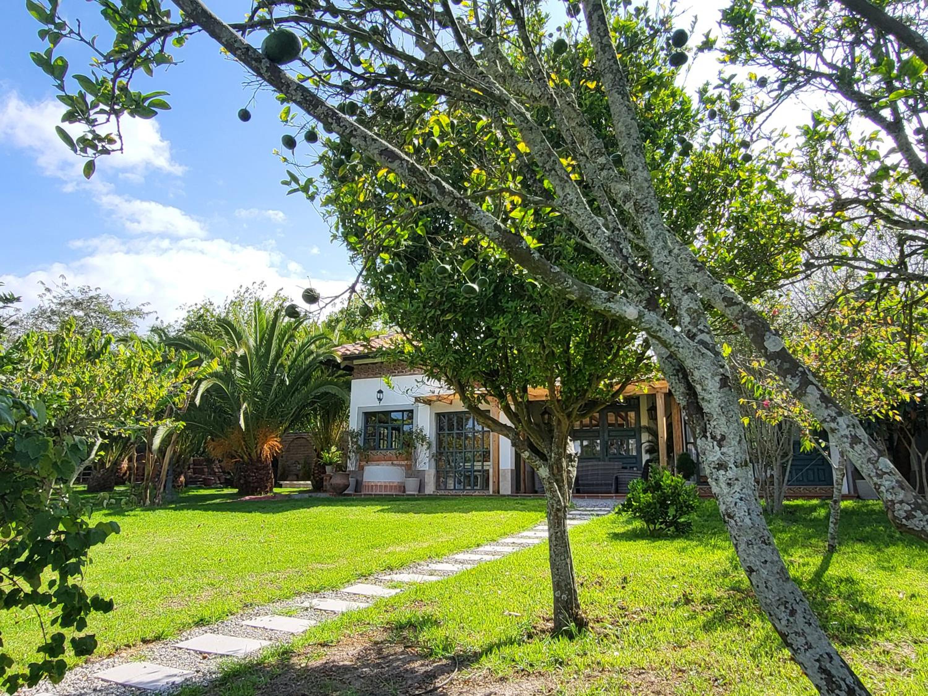 Quinta Paolita