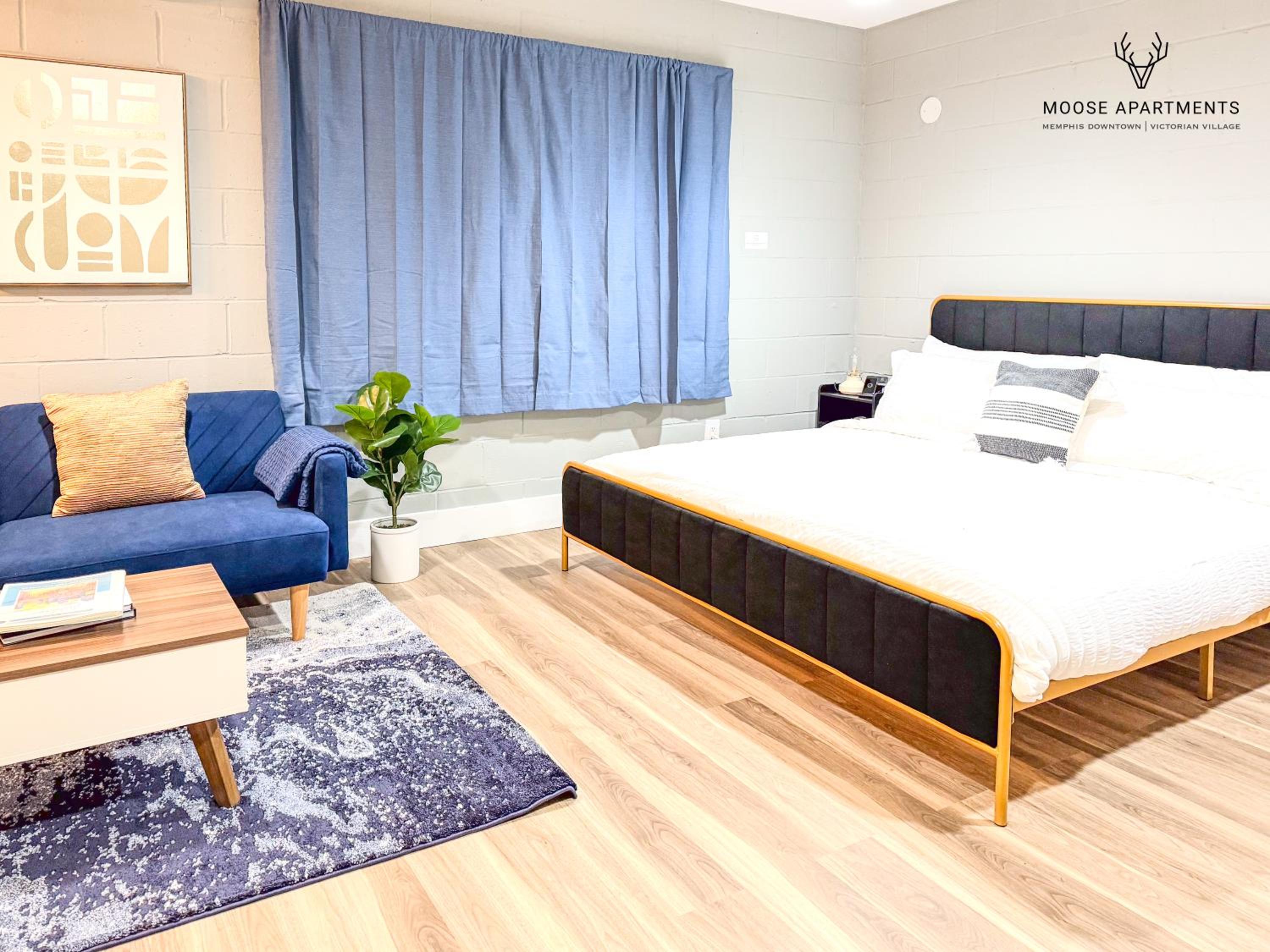 The Moose #9 - Brand New Luxe Modern loft with Free Parking, King Bed & Fast WiFi view 2