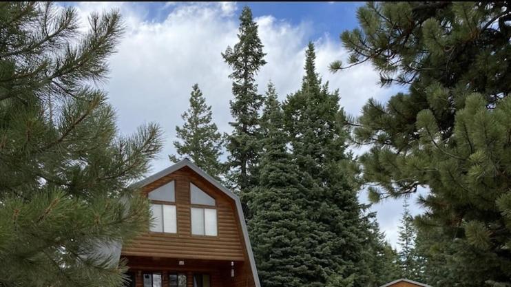 Cozy Cabin