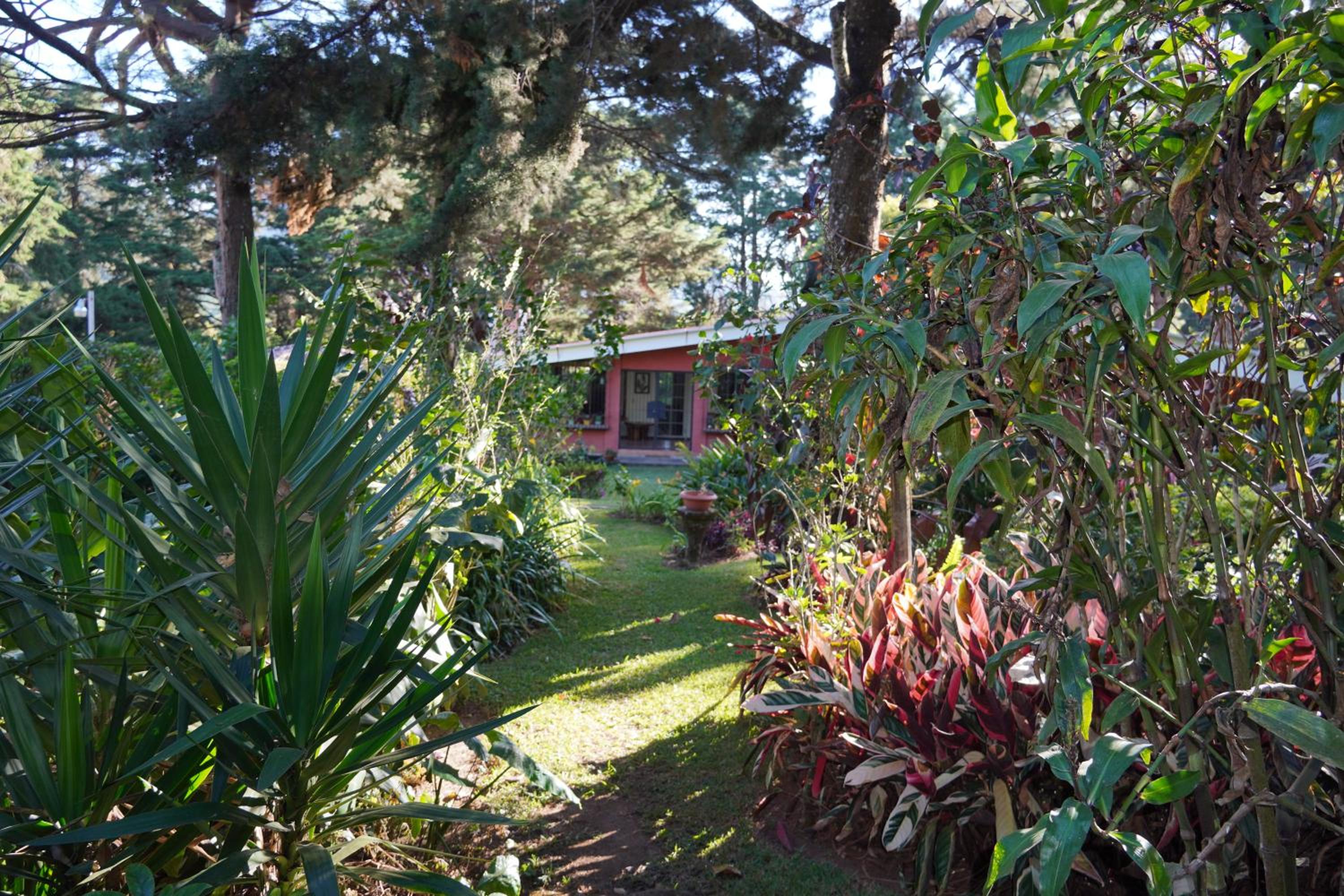 Photo 11