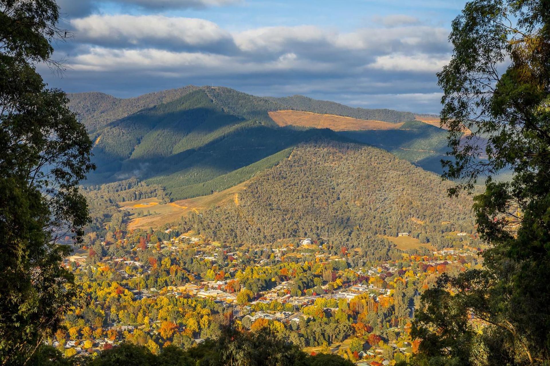 Hillview on Delany