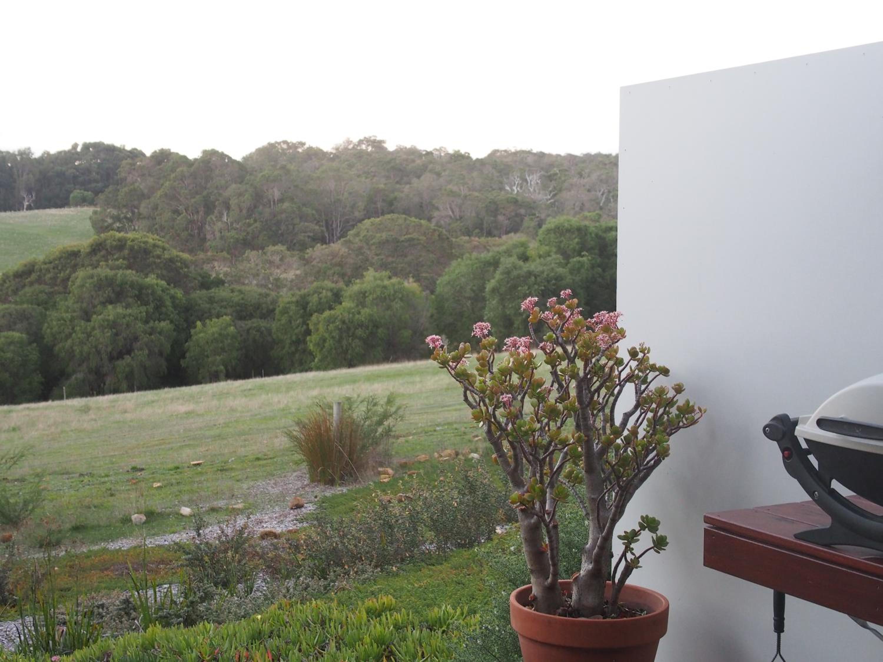 Hilltop Studios