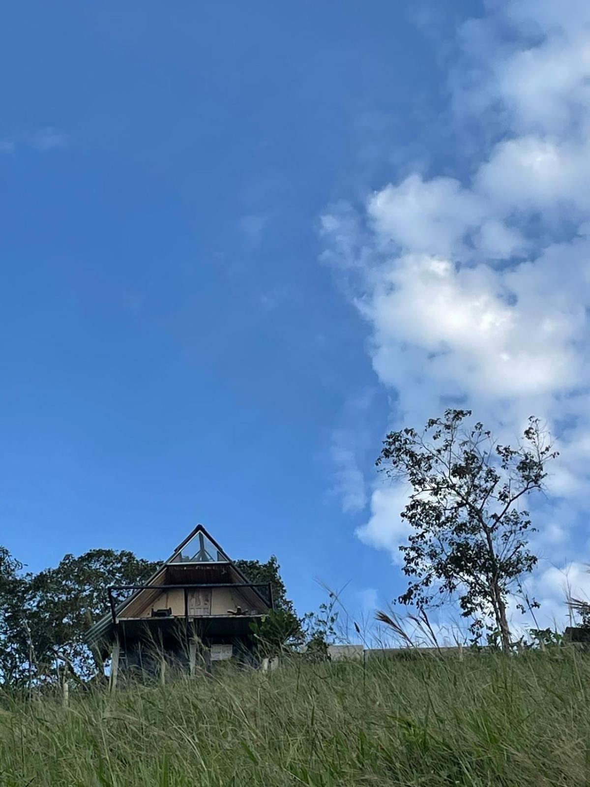 Casa Mostaza-Ecolodge