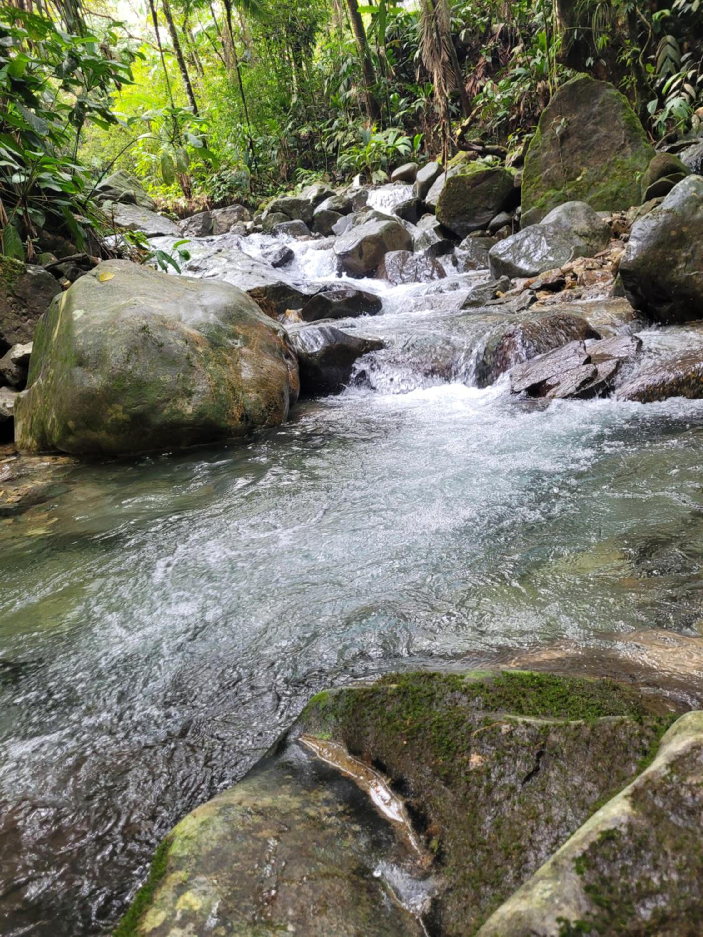 Casa Mostaza-Ecolodge
