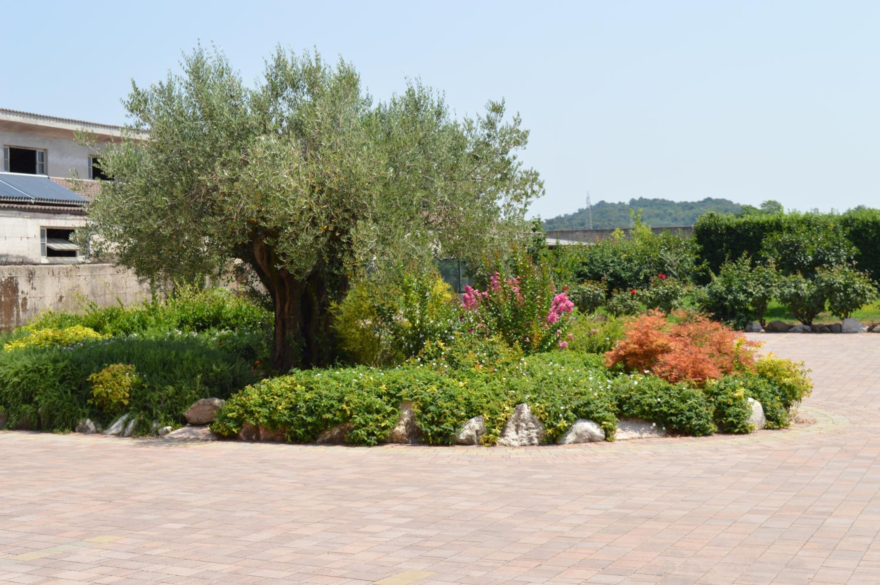 Photo 23