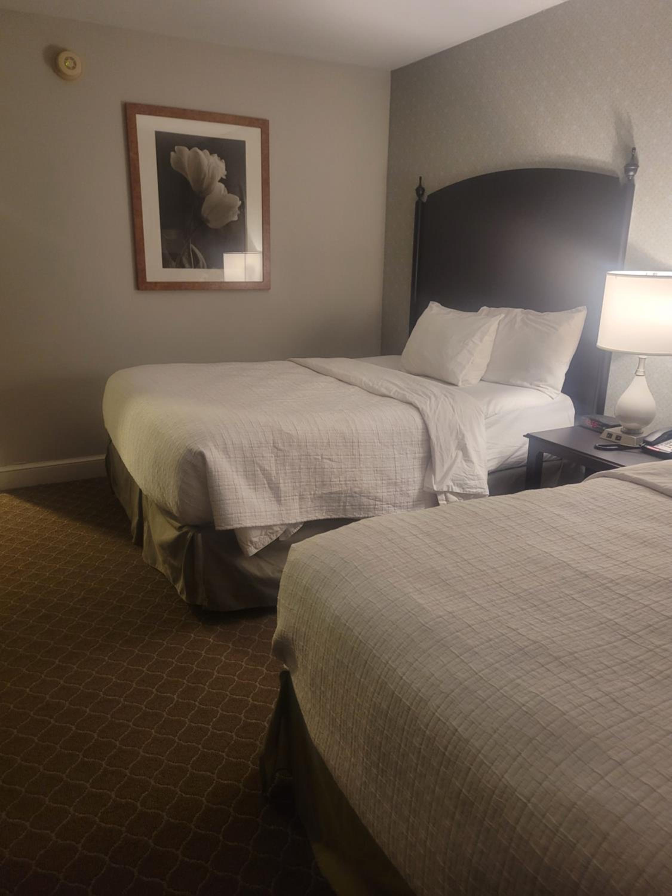 Natural Bridge Hotel, Trademark Collection by Wyndham, 사진 52