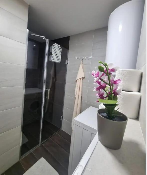 Cozy studio with free garage parking & self check-in view 3