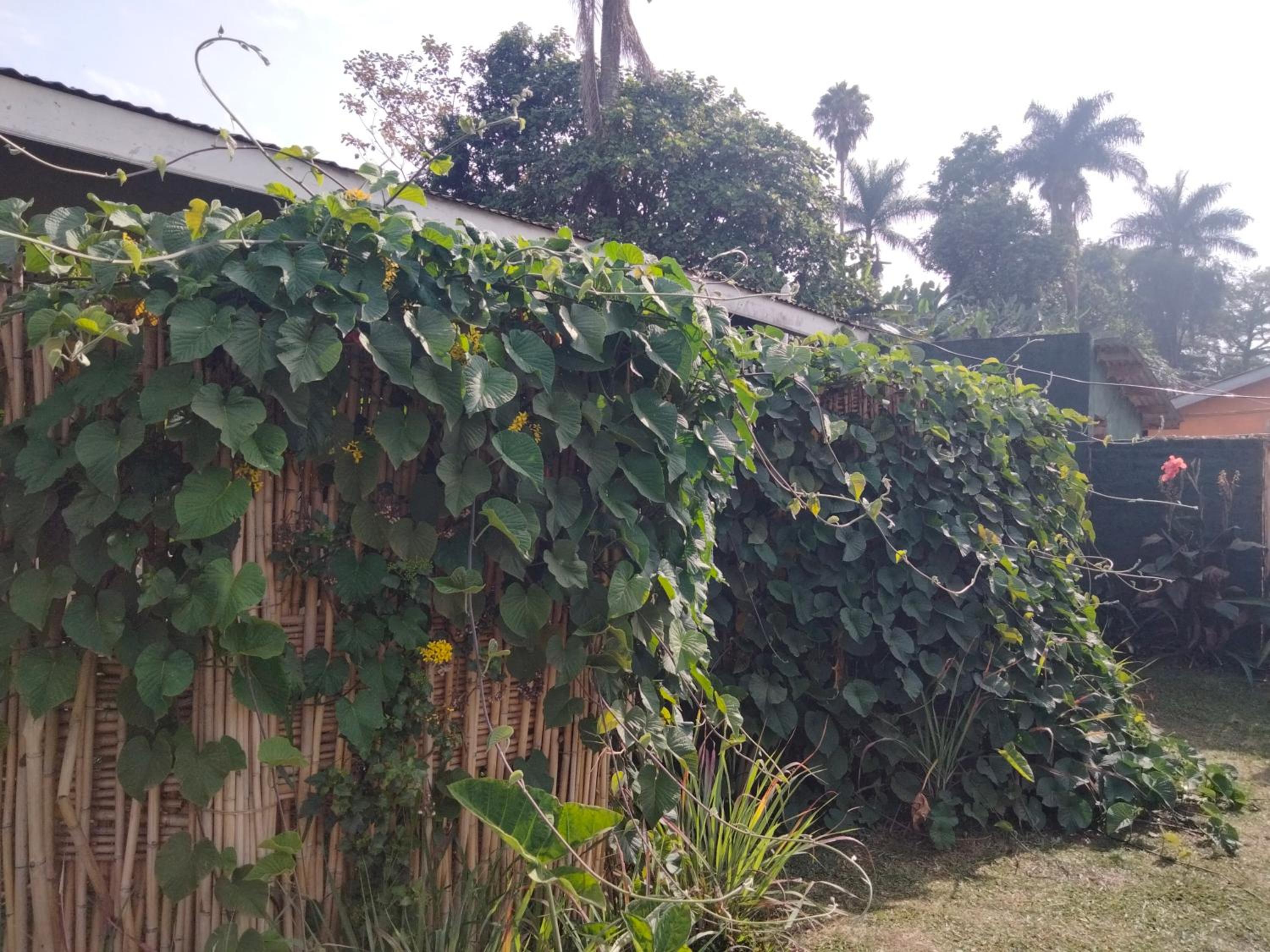 Gaia Eco Hub BnB view 2