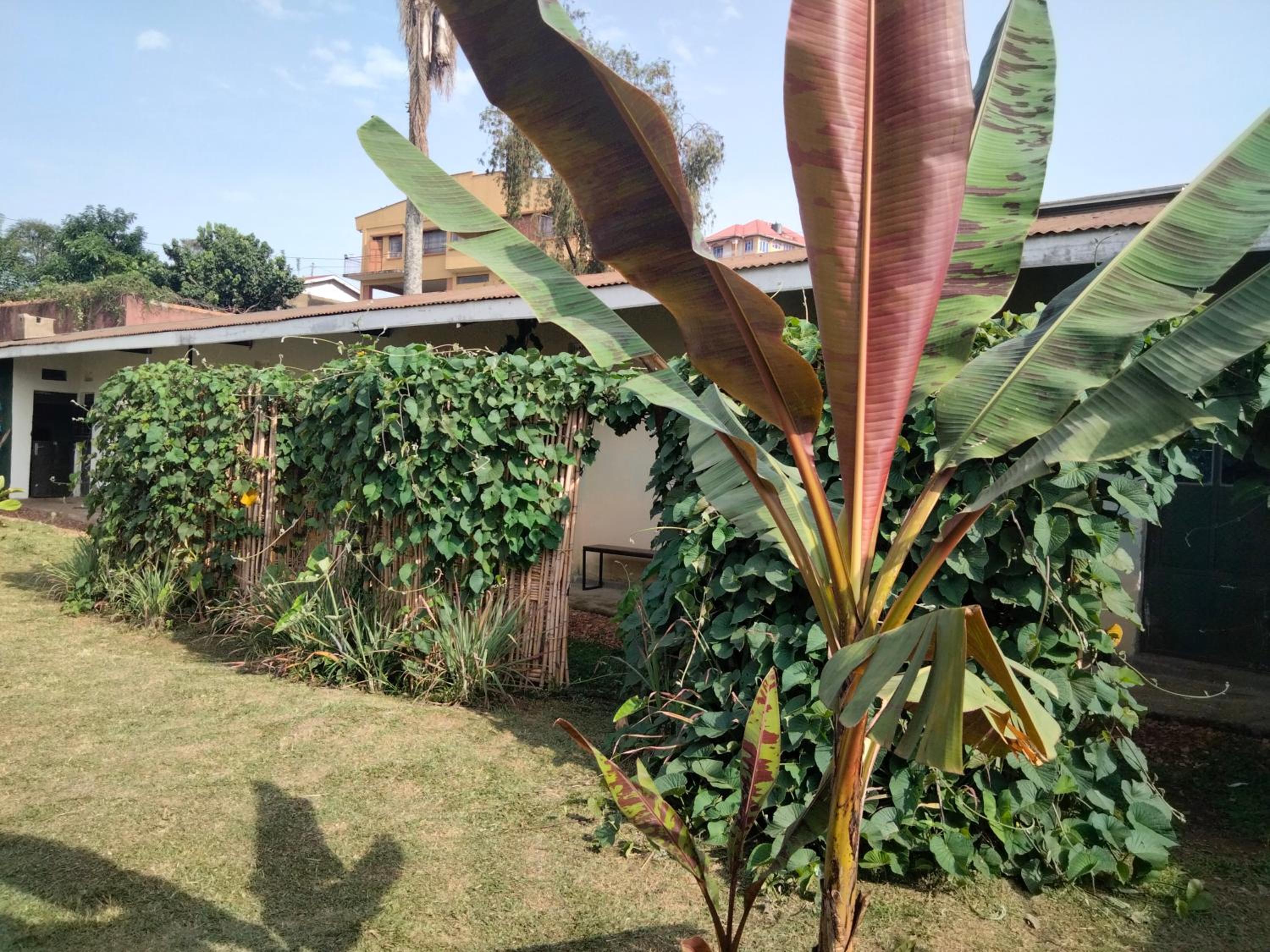 Gaia Eco Hub BnB view 4