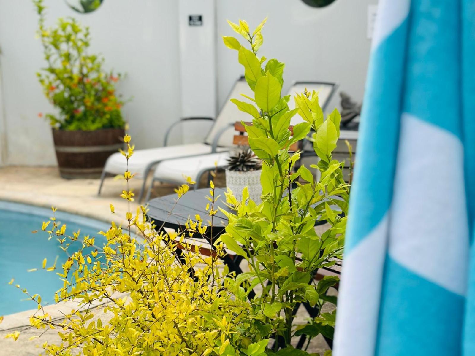 Villa da Graca - Selfcatering or B&B view 5
