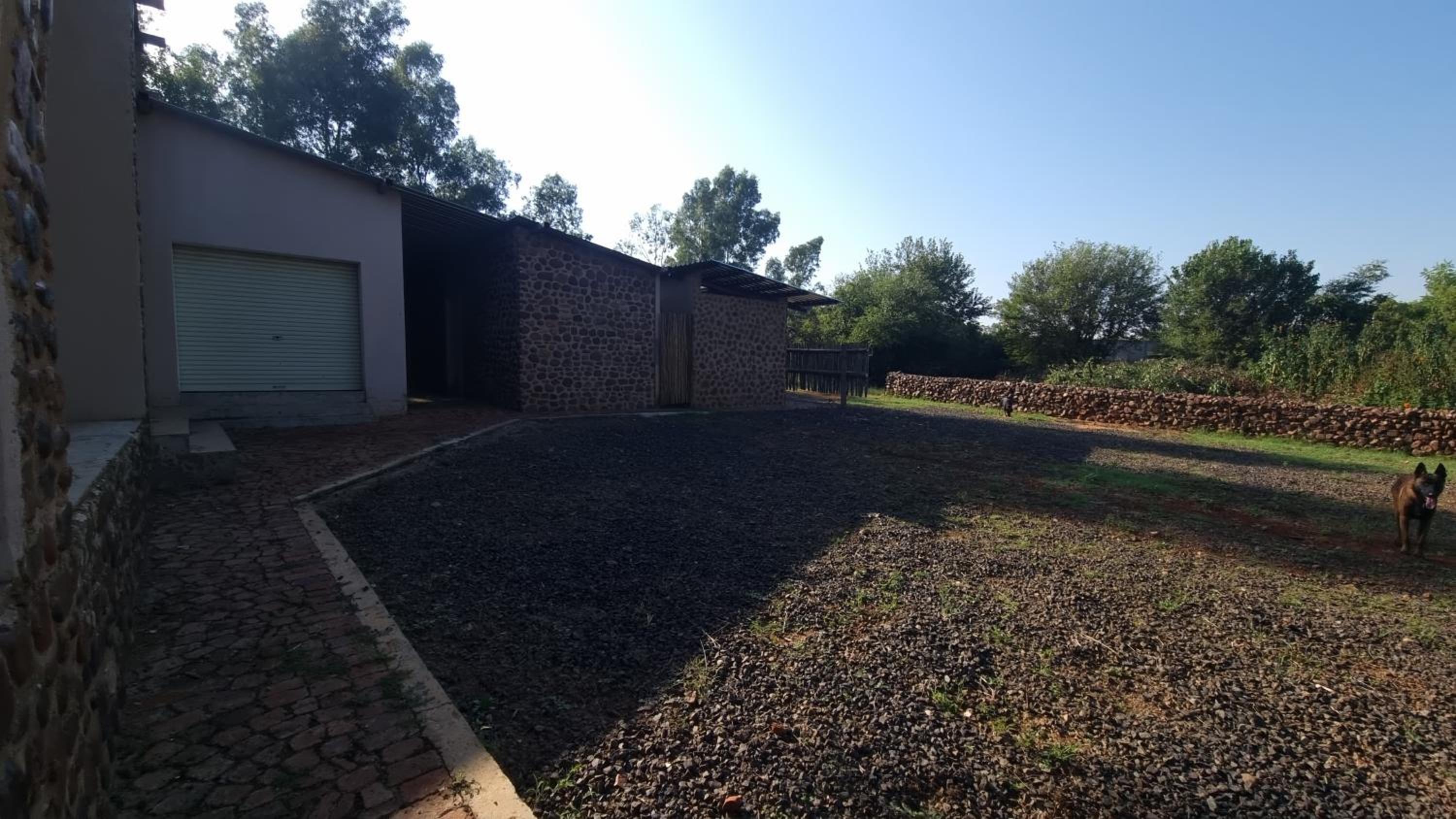 Photo 19