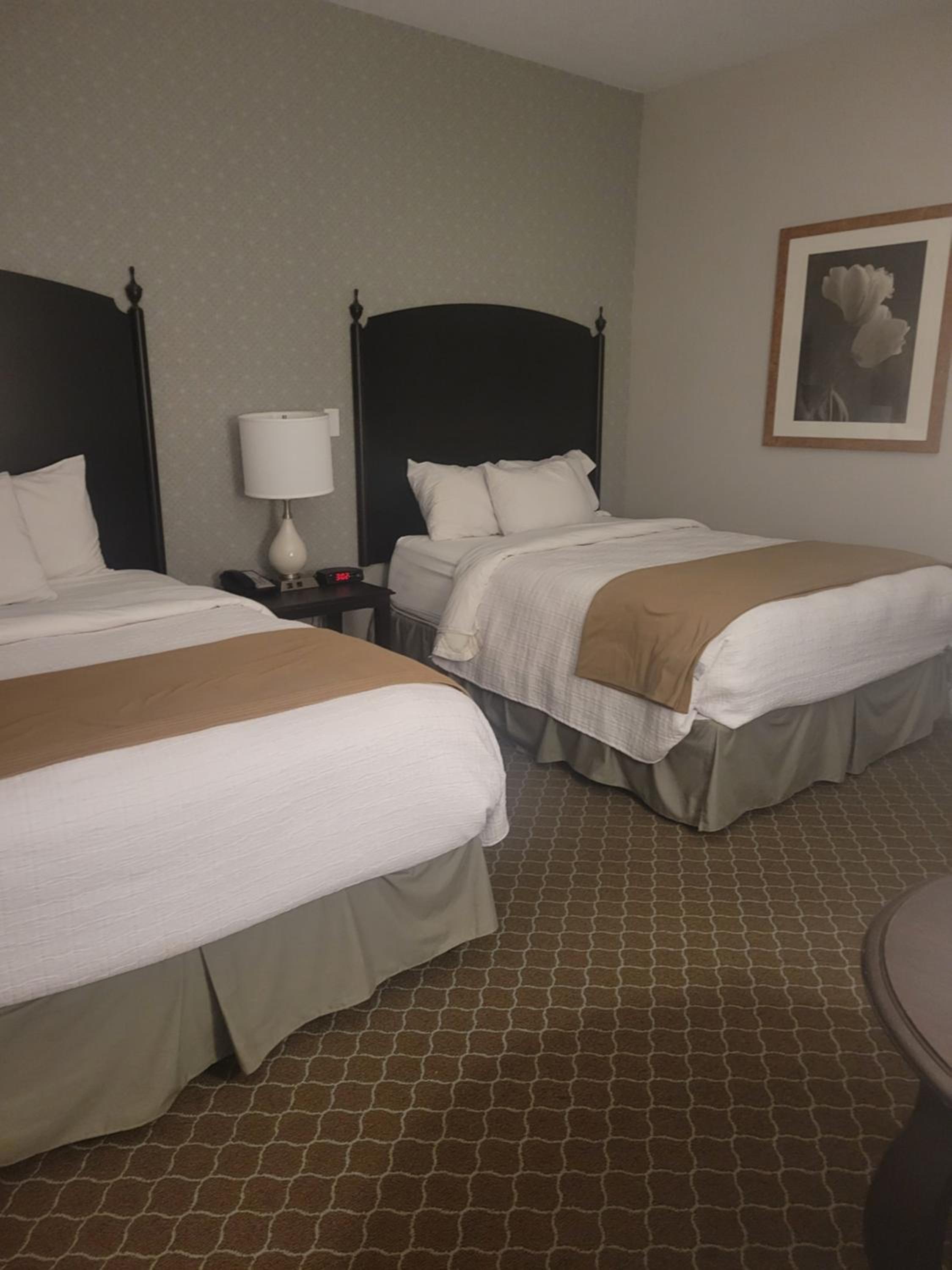 Natural Bridge Hotel, Trademark Collection by Wyndham, 사진 112