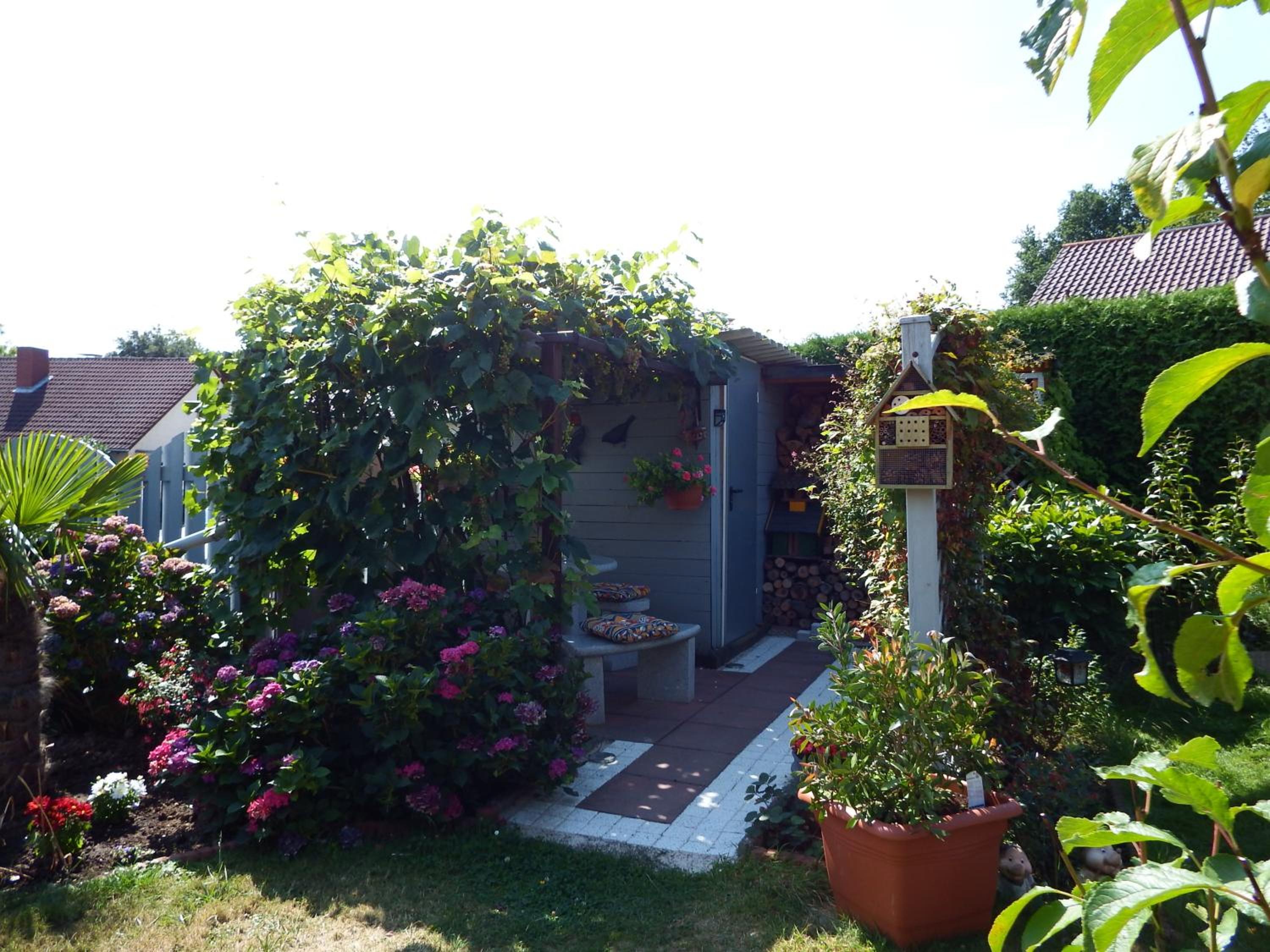 Photo 12