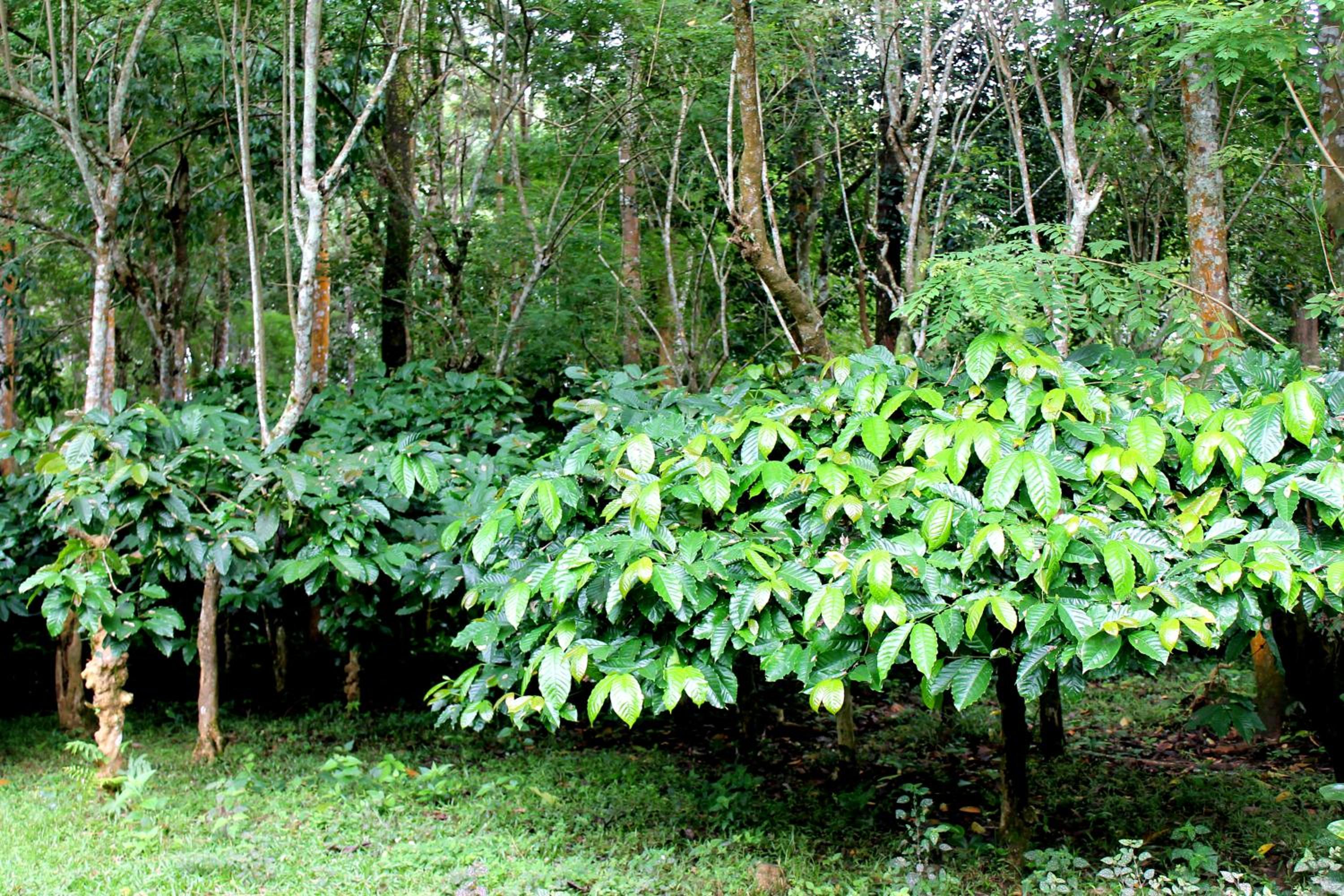 Photo 45