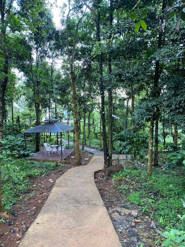 Wildrootstay 3 bed cottage