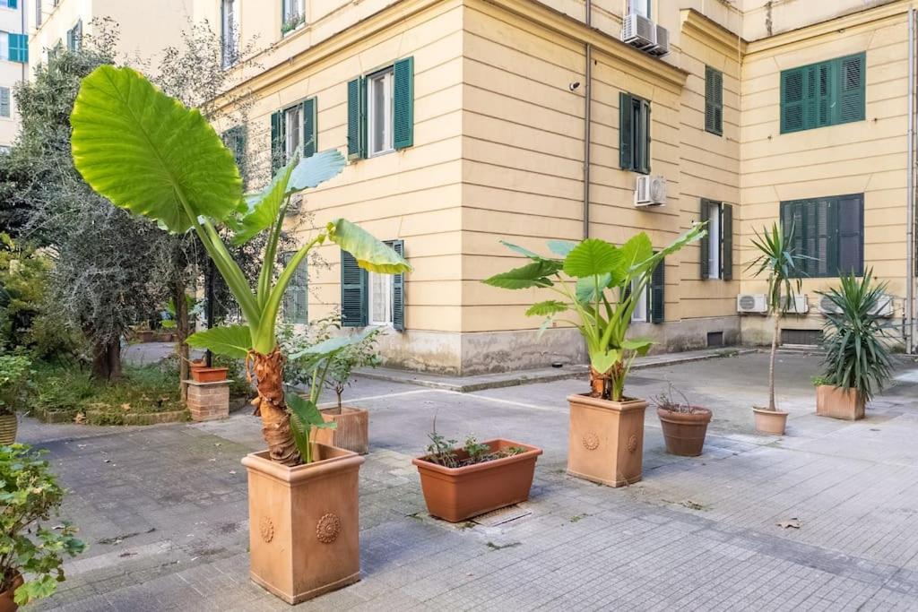 New! Giulio Cesare Apartment