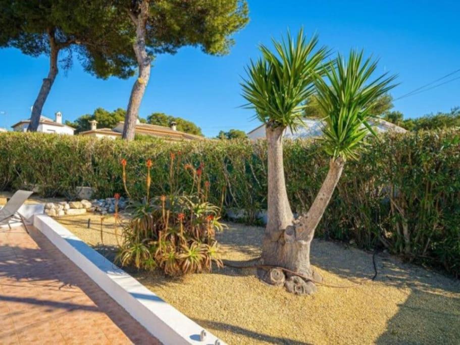 Casa Maria Granadella, three bedroom villa with private pool
