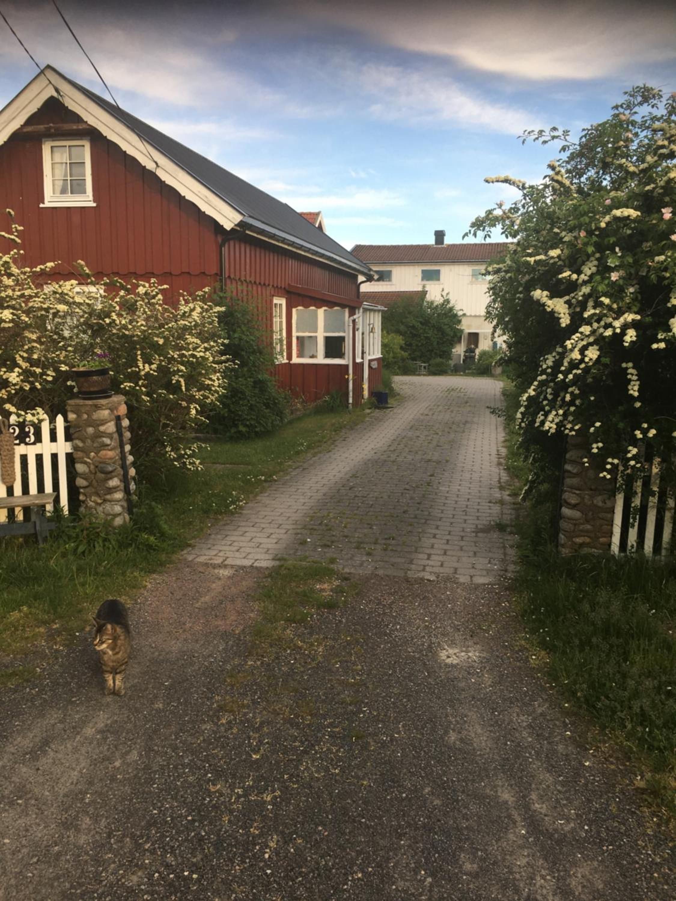 Villa Salt