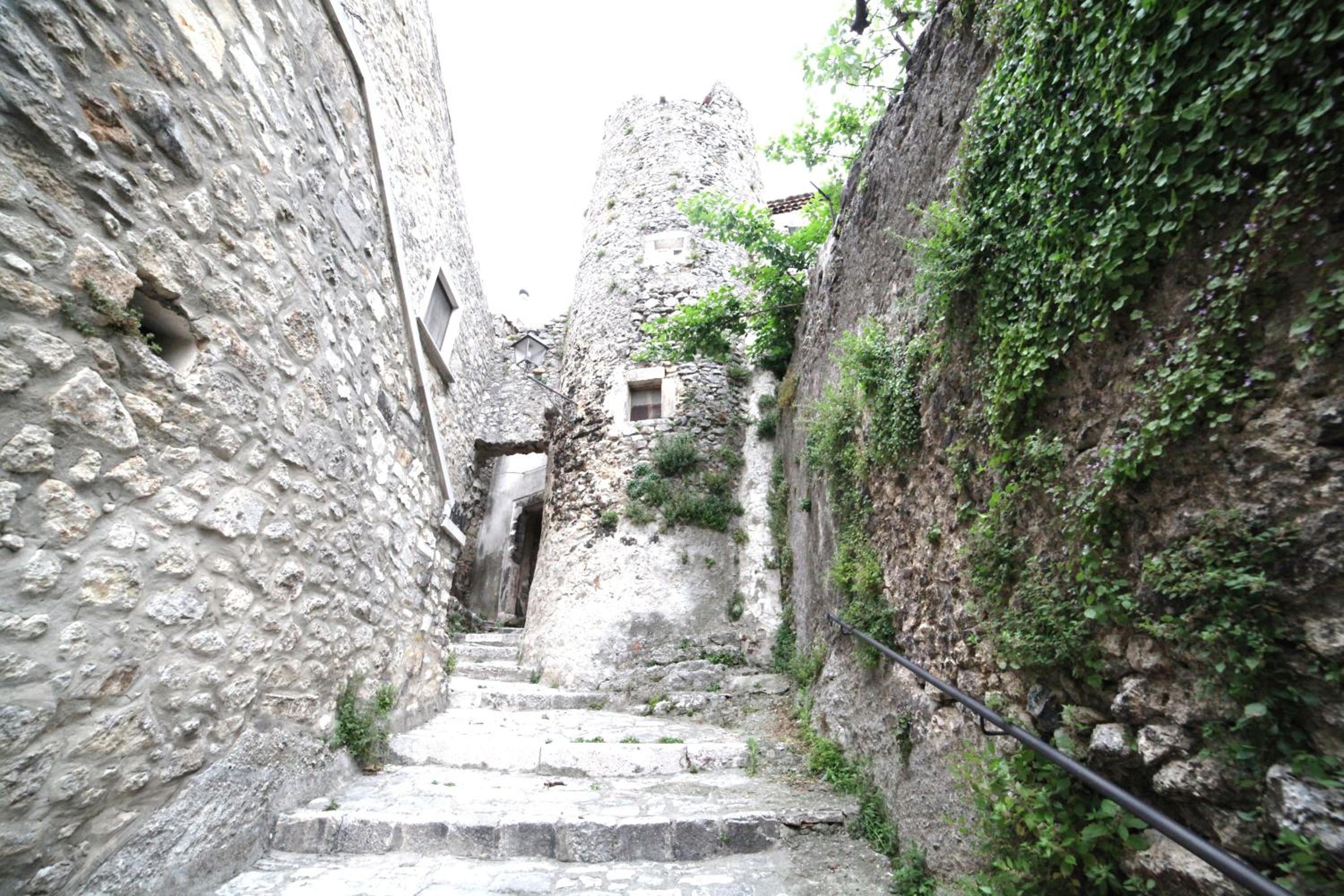 Photo 28