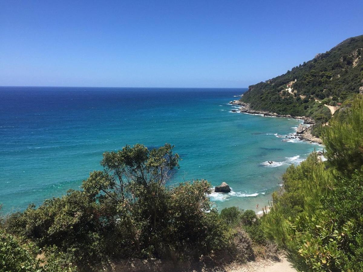 Aliki`s Luxury Suite with view, pet friendly! view 2
