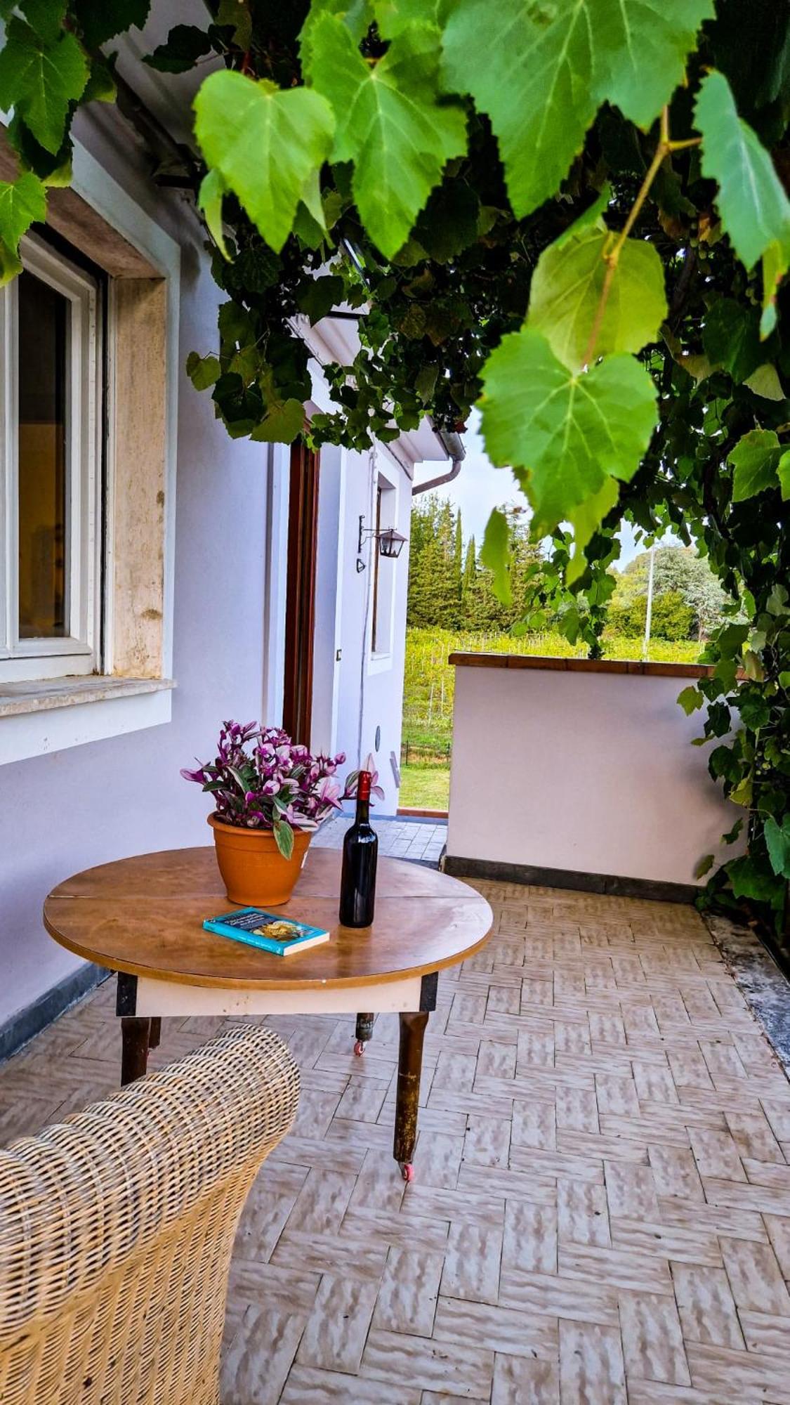 Wine House