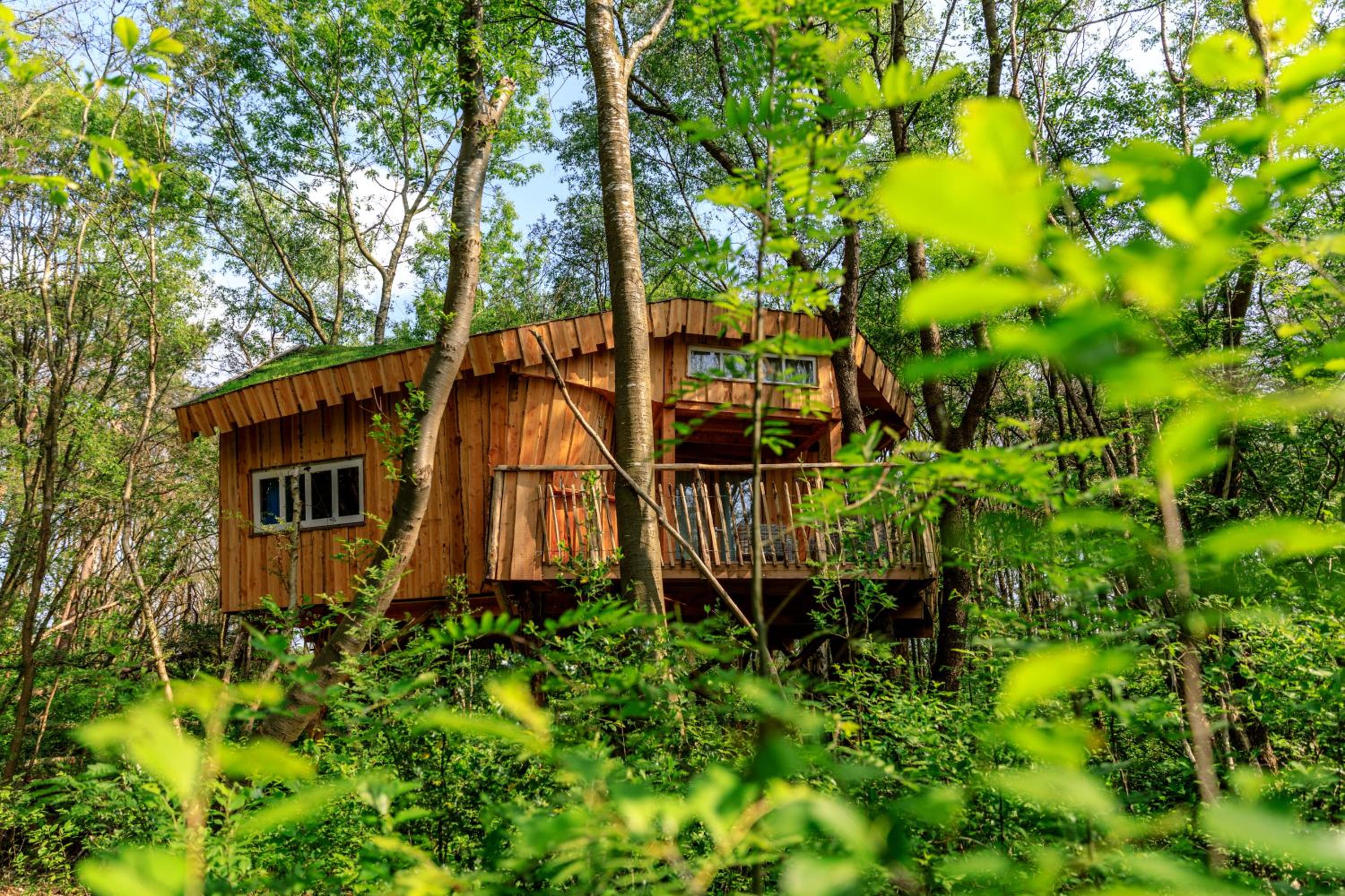 Boomhut XXL view 3