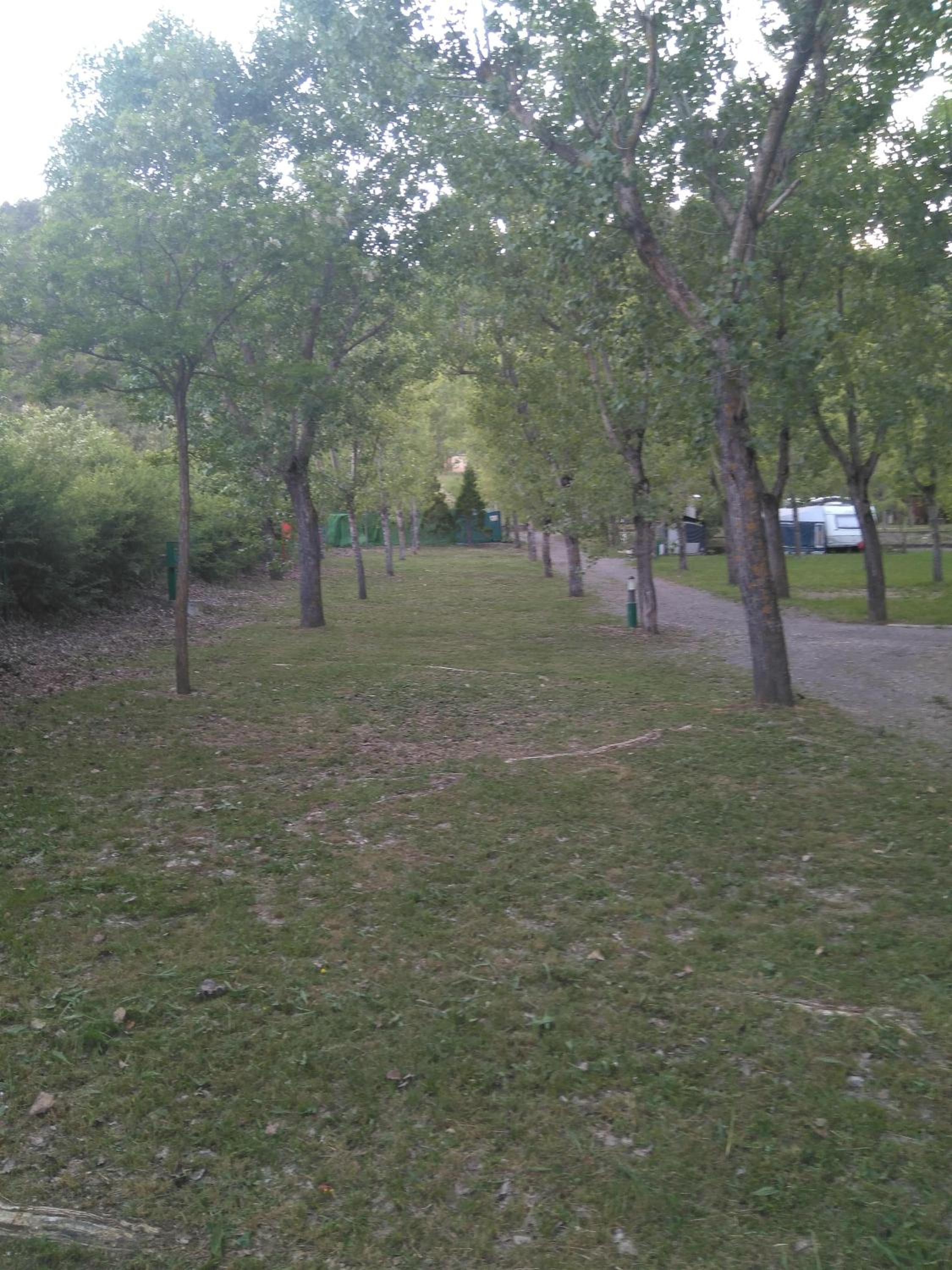 Camping Valle de Hecho view 5