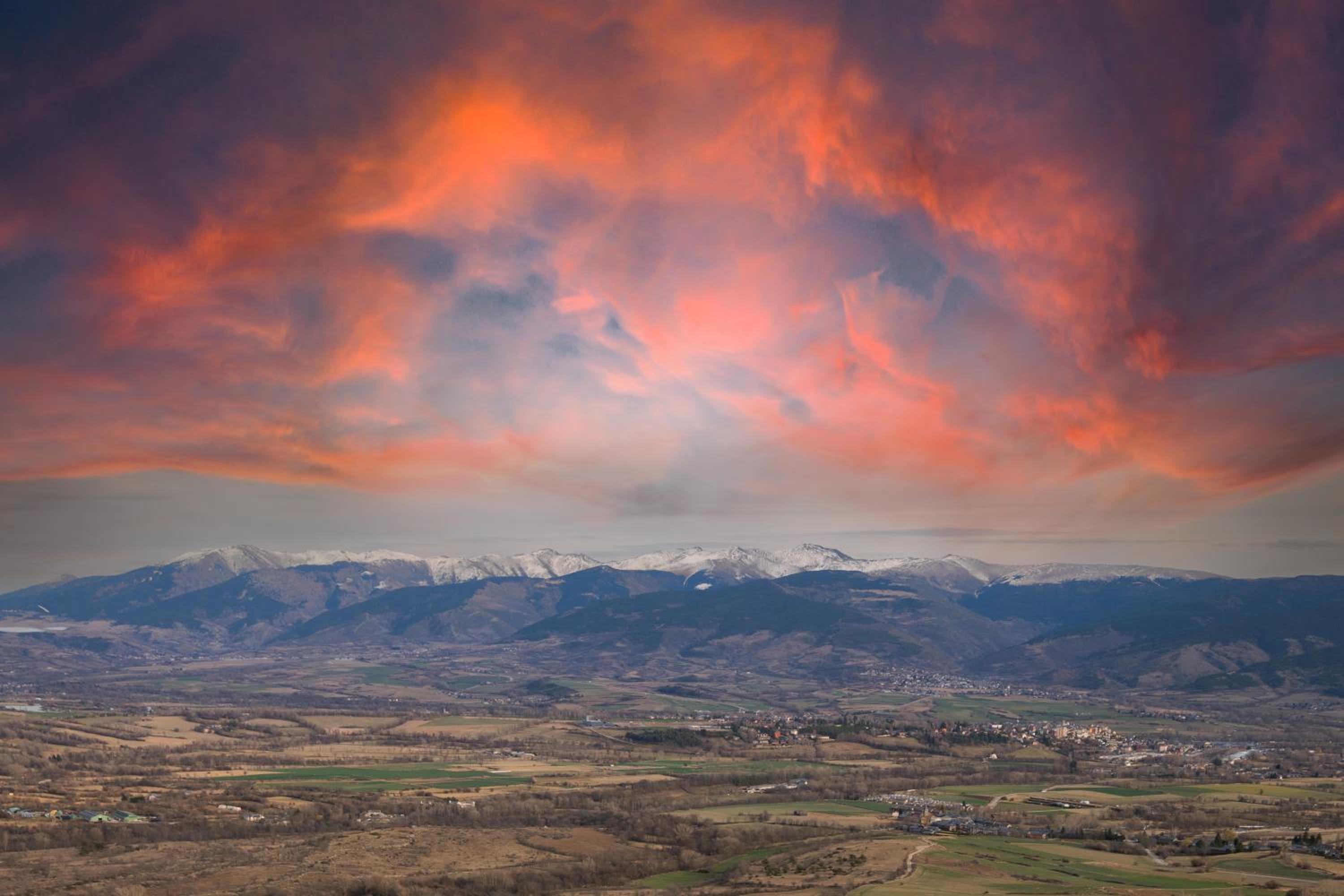 Masella