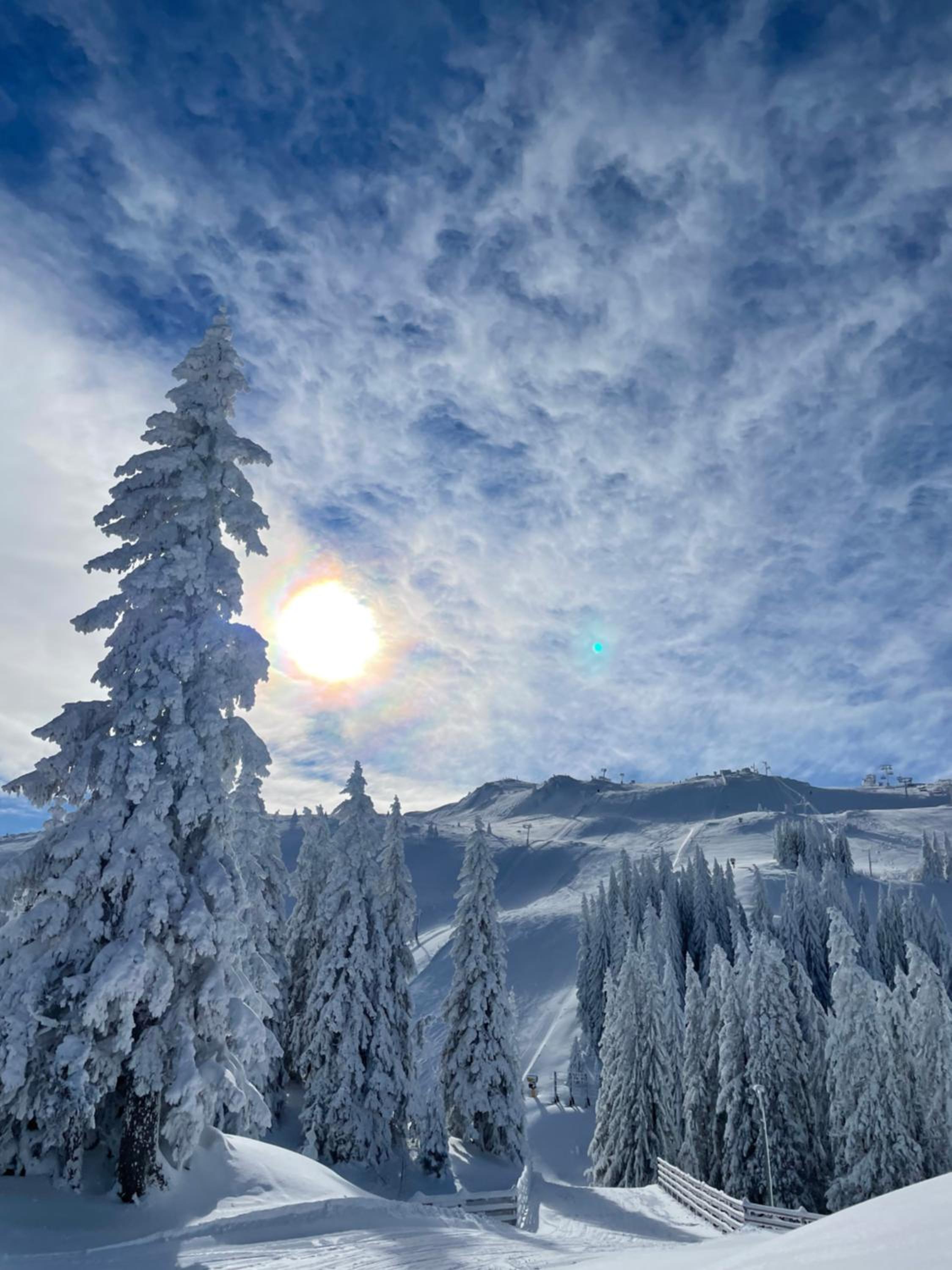 Jahorina: A Charming Apartment Retreat