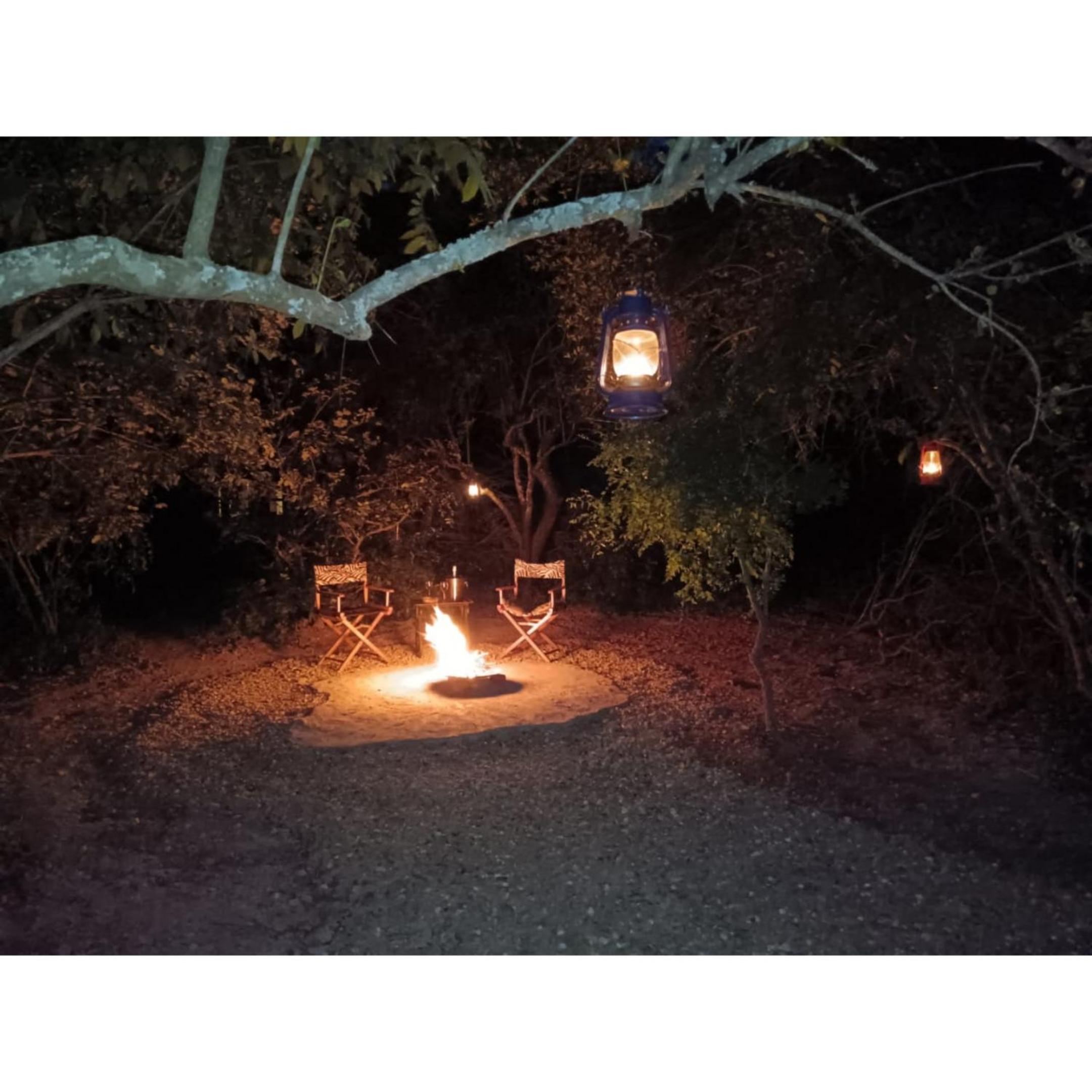 The Nest - Marloth Park view 4