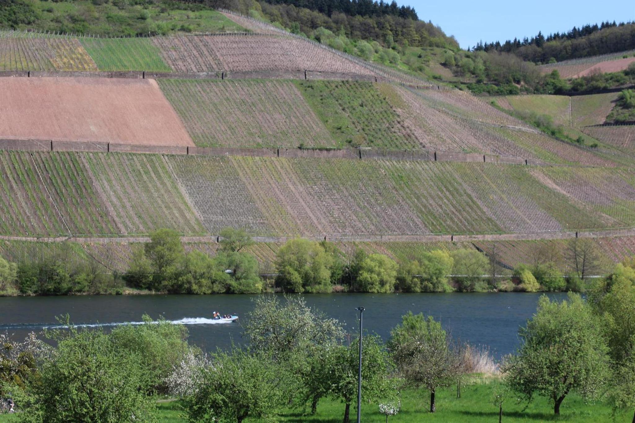 Ferienweingut Hansjosten
