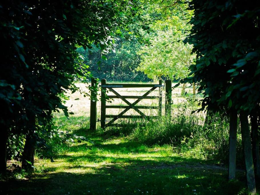 Photo 25