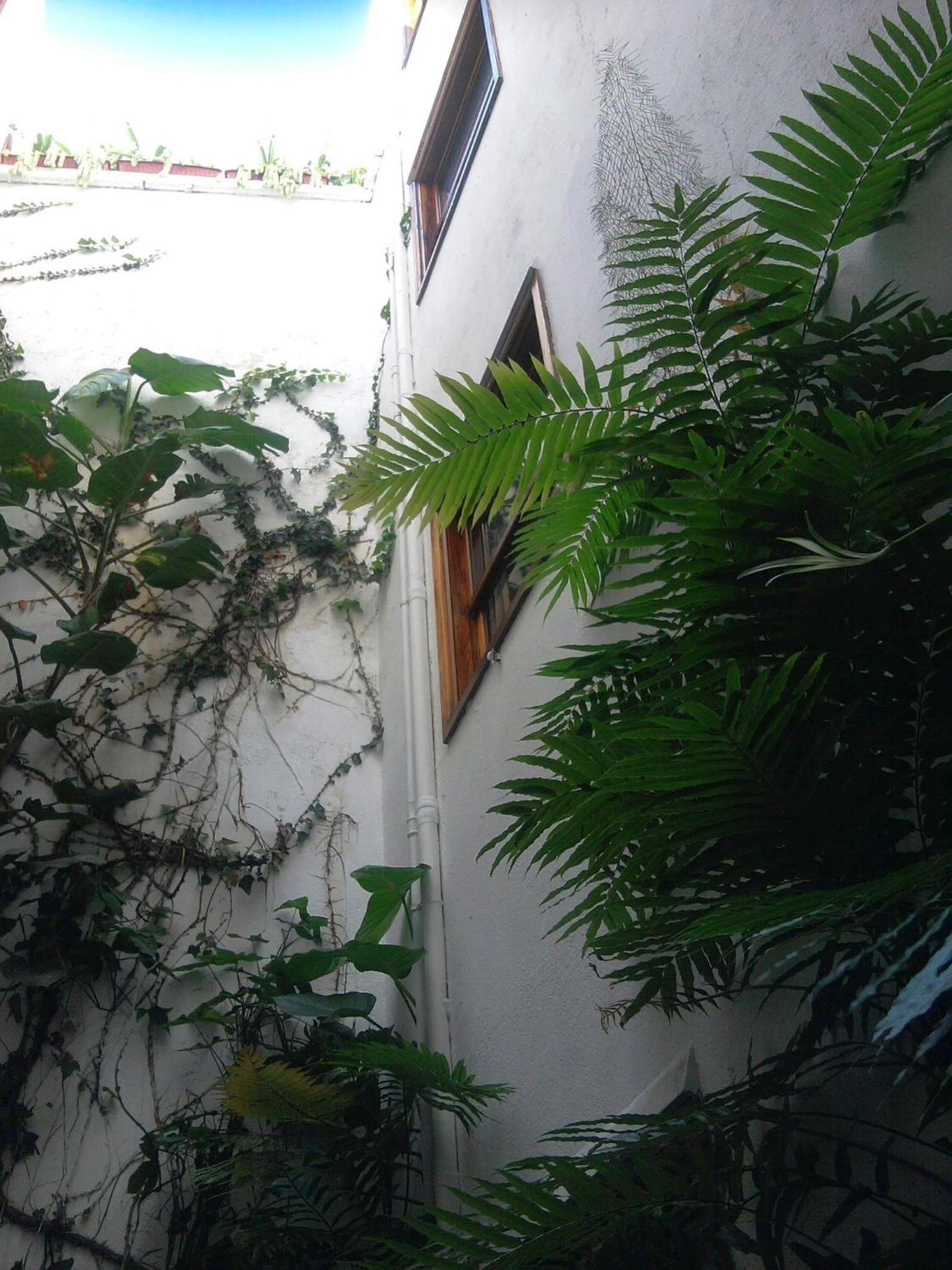 Photo 42