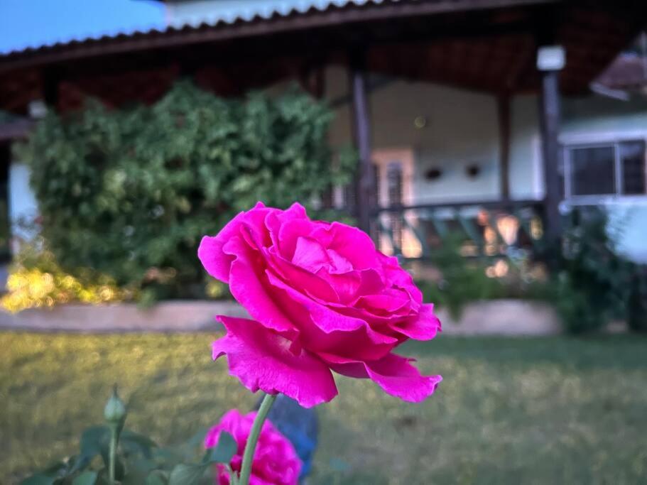 Sítio Paraíbuna - Fazenda Paraíbuna - Casa Campo