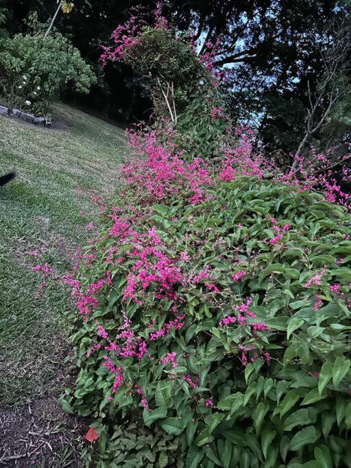 Sítio Paraíbuna - Fazenda Paraíbuna - Casa Campo