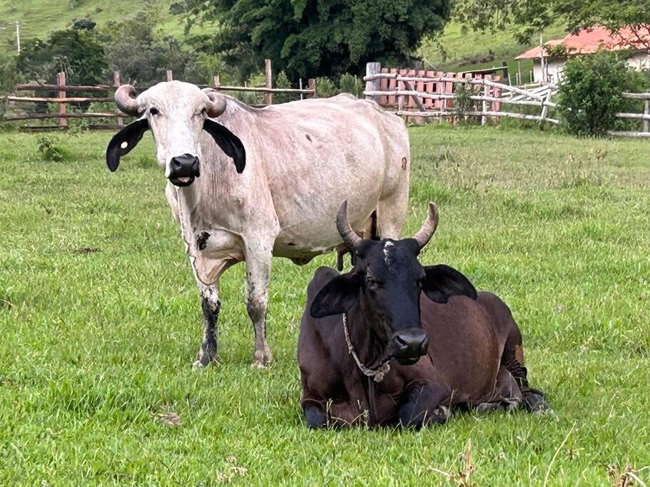 Sítio Paraíbuna - Fazenda Paraíbuna - Casa Campo
