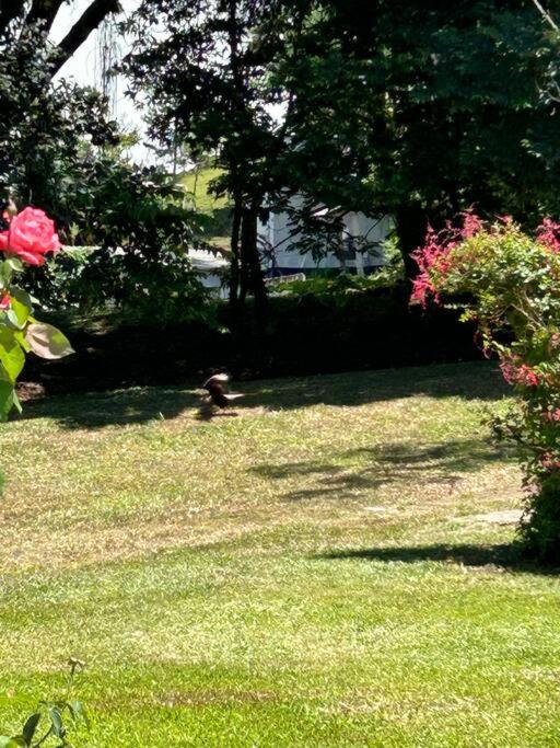 Sítio Paraíbuna - Fazenda Paraíbuna - Casa Campo