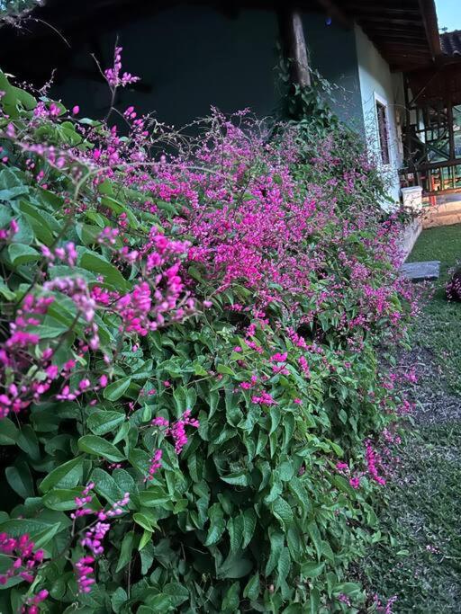 Sítio Paraíbuna - Fazenda Paraíbuna - Casa Campo