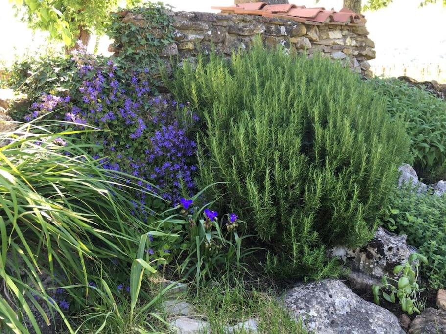 Photo 19