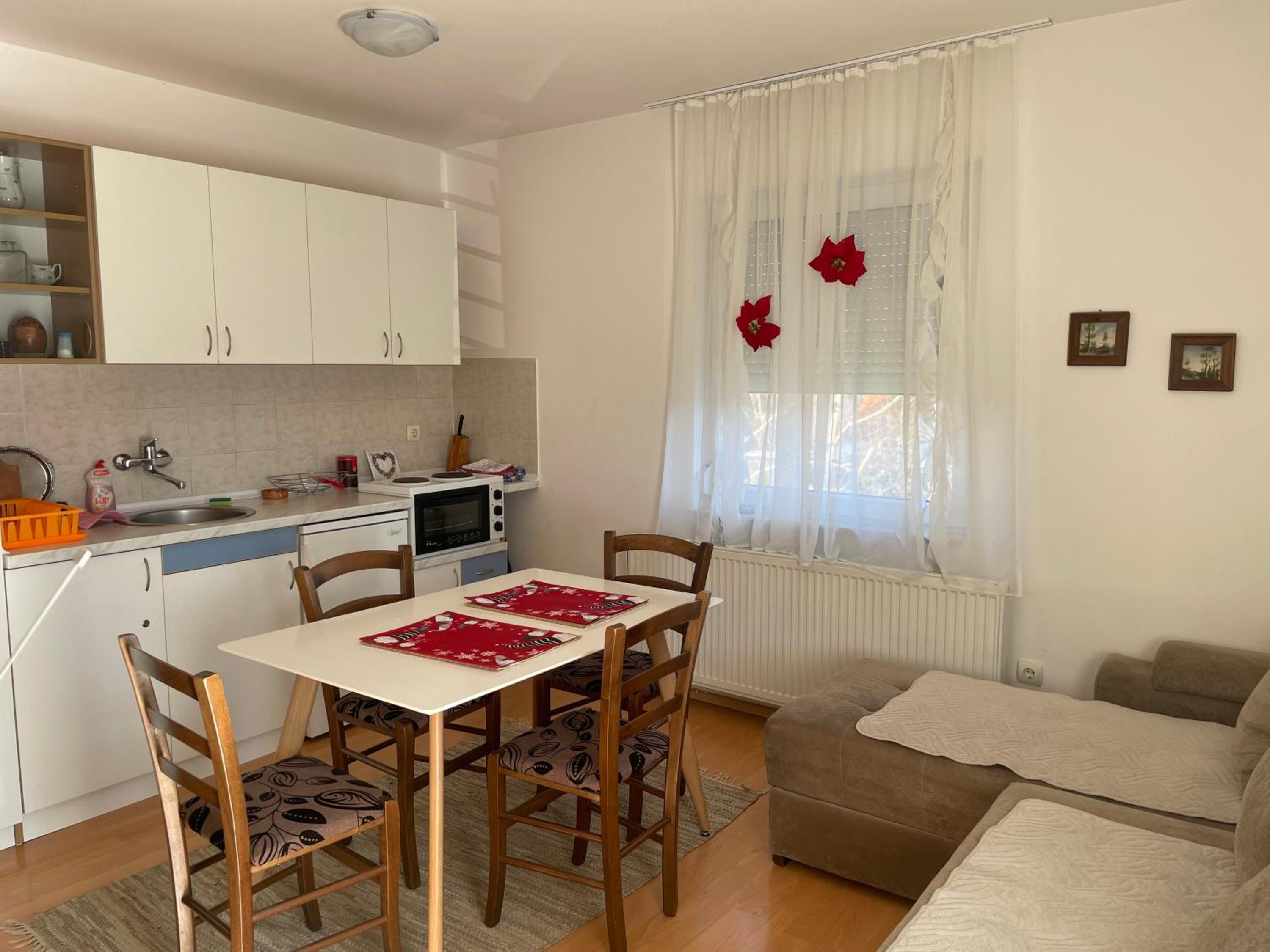 Apartman Kovacevic view 2