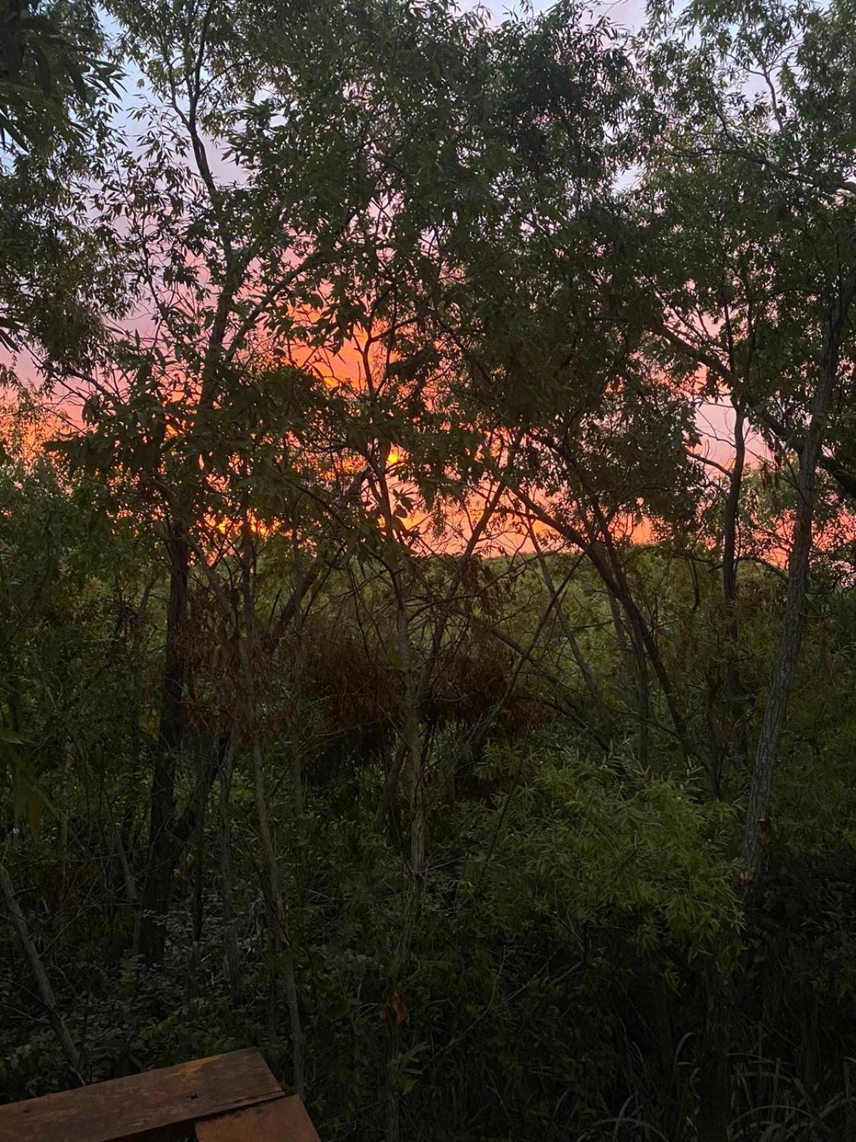 Leinos Delta