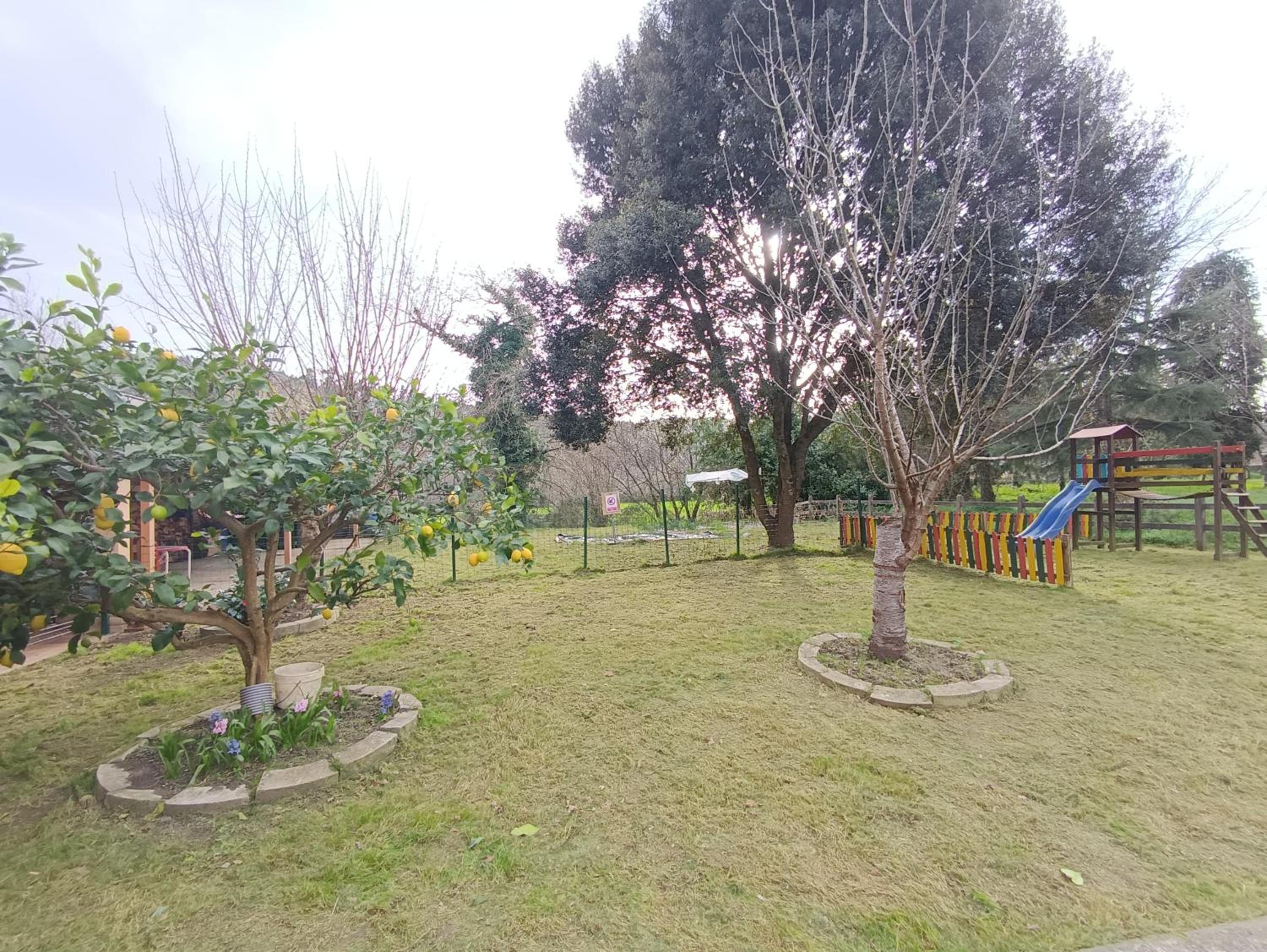 Photo 18