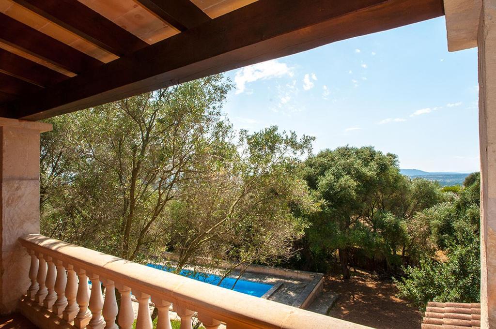 Finca Nora