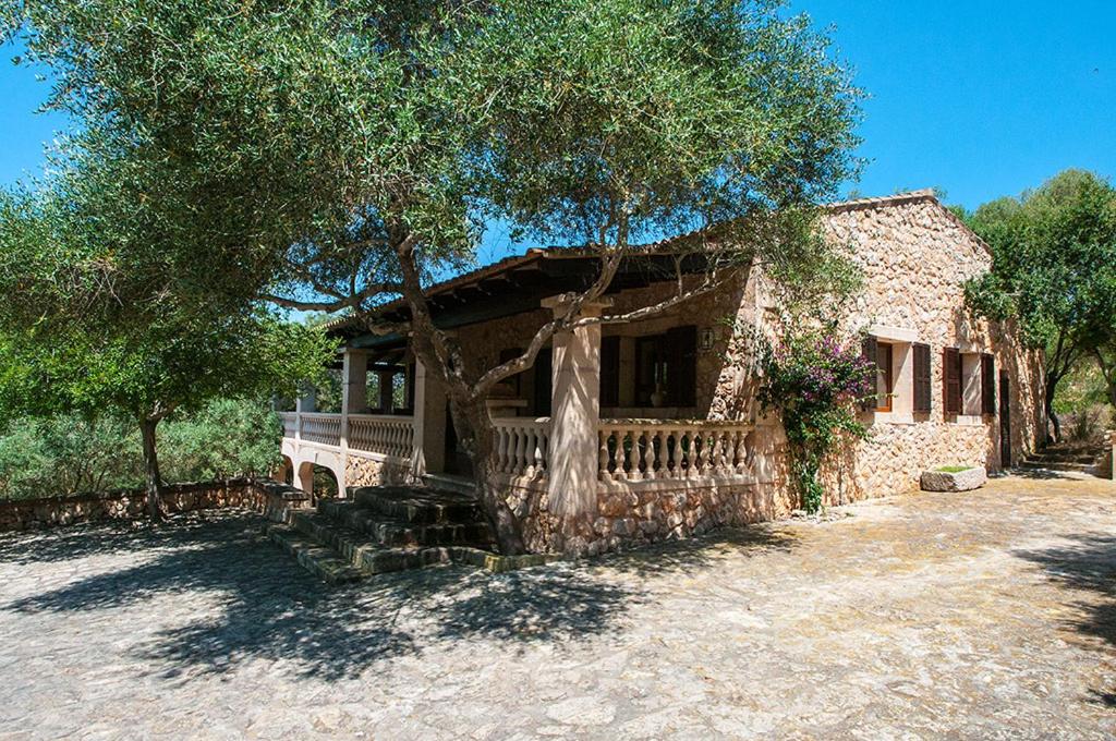 Finca Nora