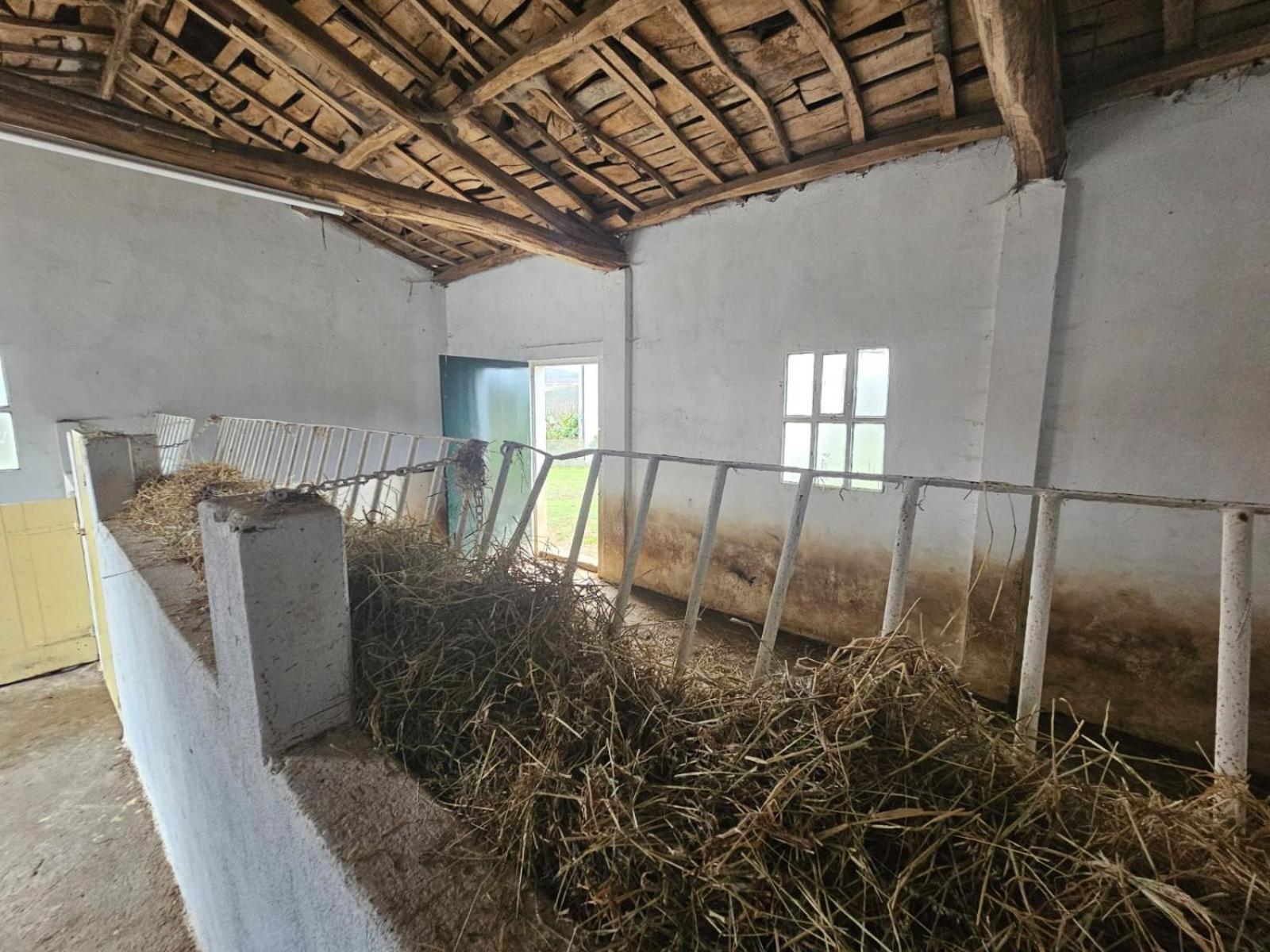 CASA DAVID-con cuadras para caballos